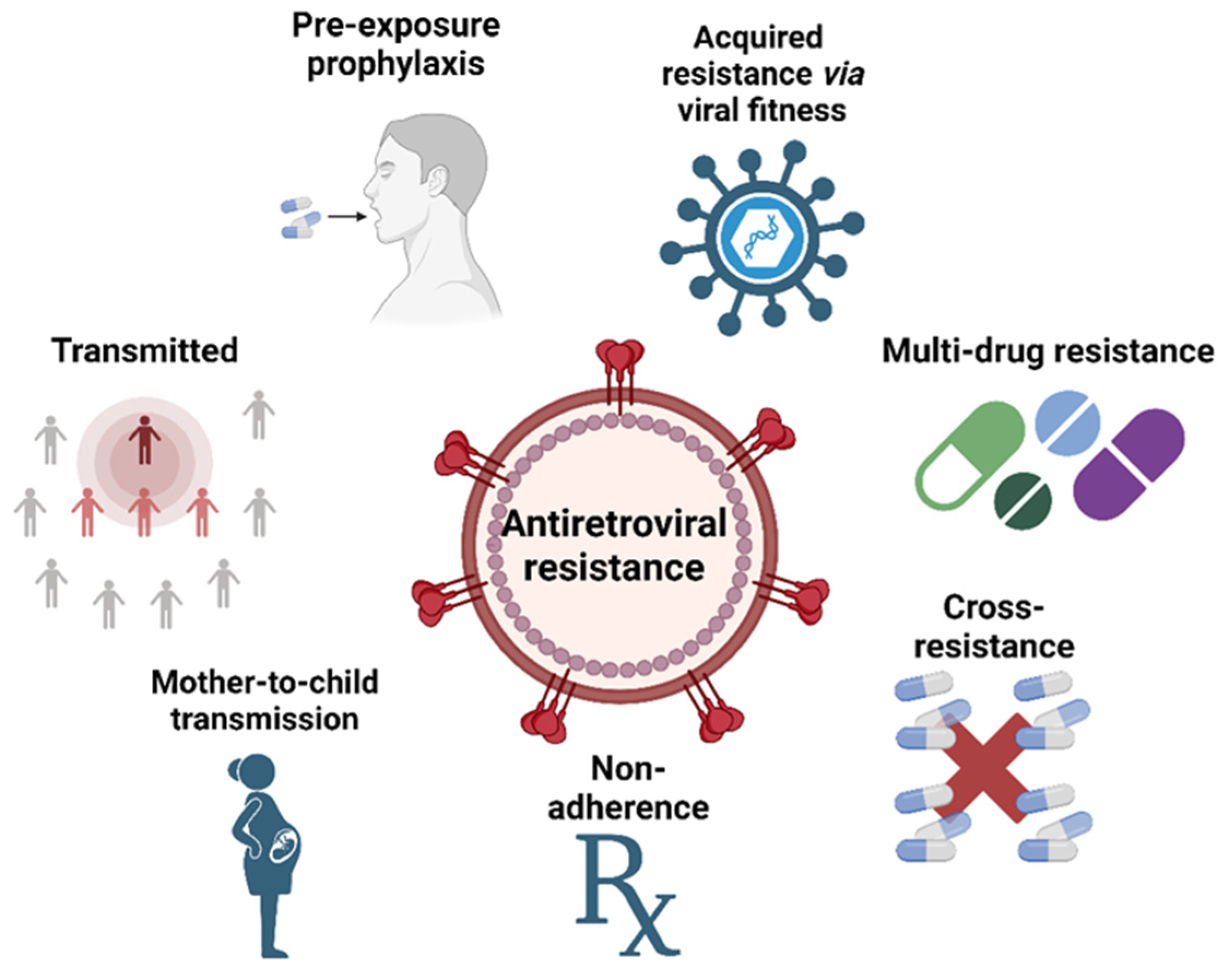 Biomedicines 12 00915 g007 Biomedicines 12 00915 g007