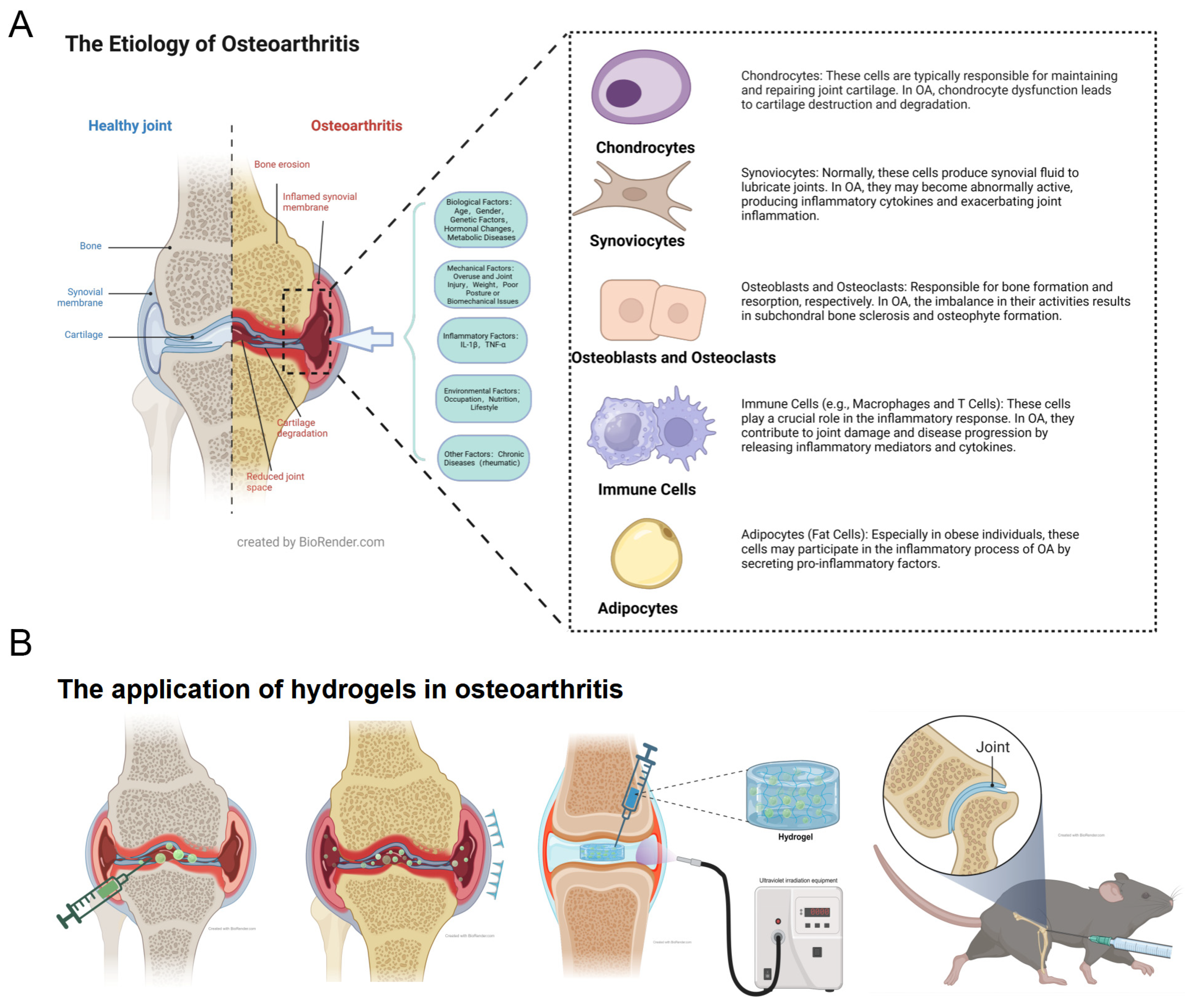 Biomedicines 12 00923 g001