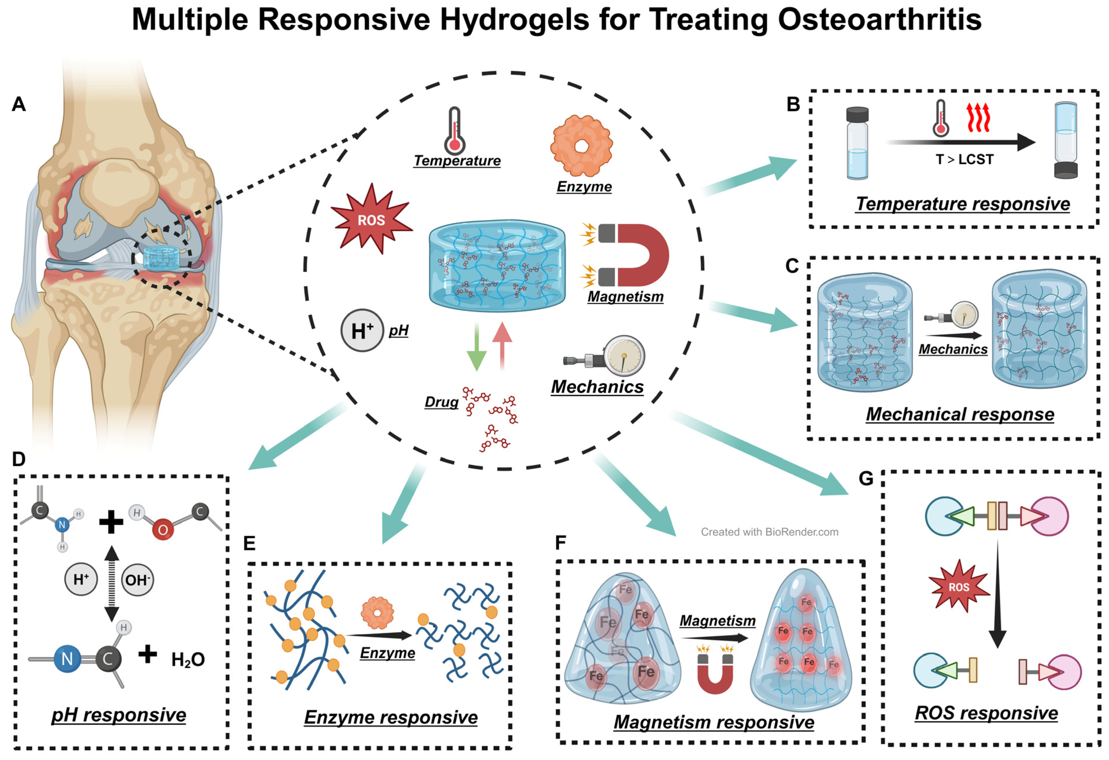 Biomedicines 12 00923 g008