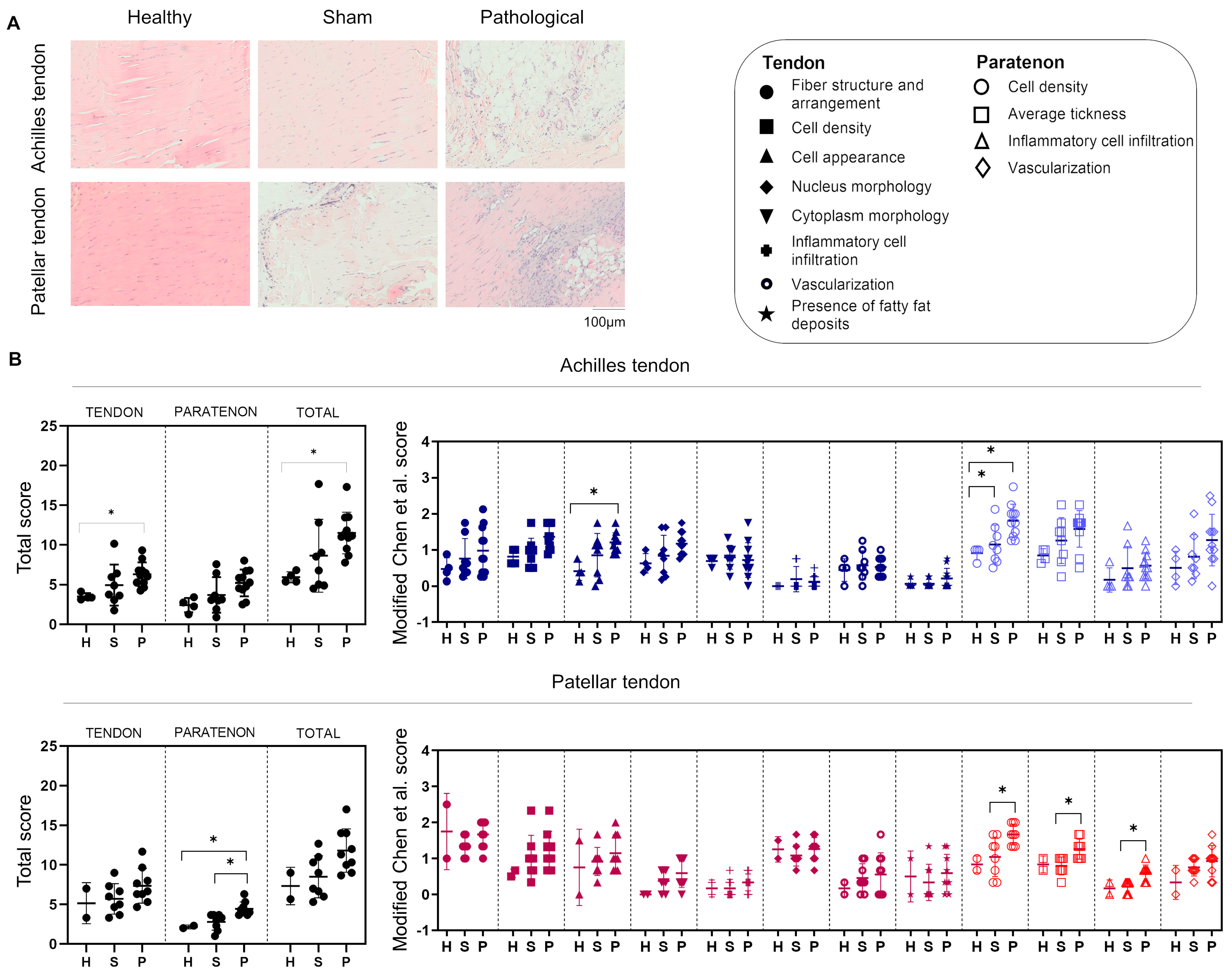 Biomedicines 12 00995 g001