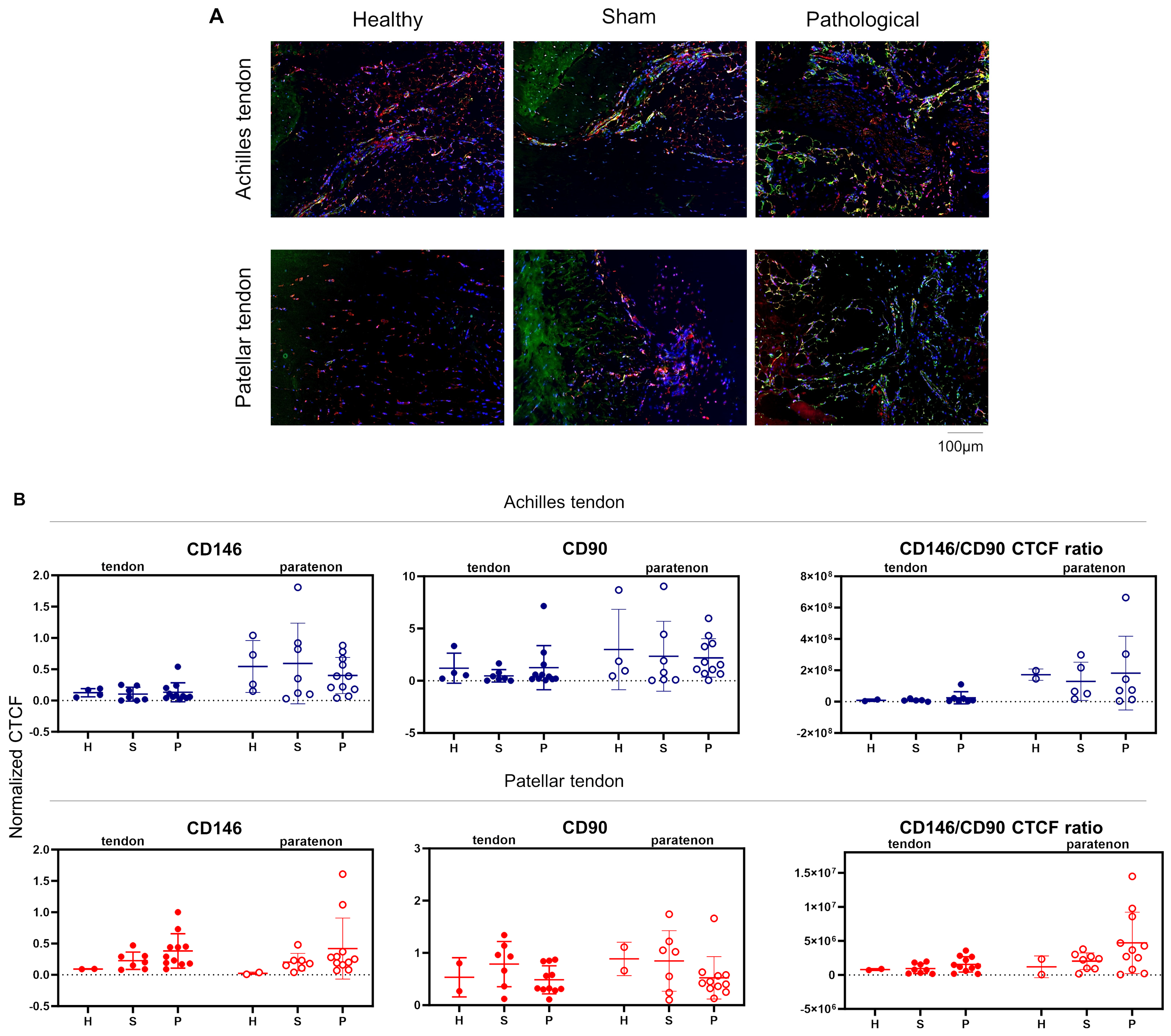 Biomedicines 12 00995 g002