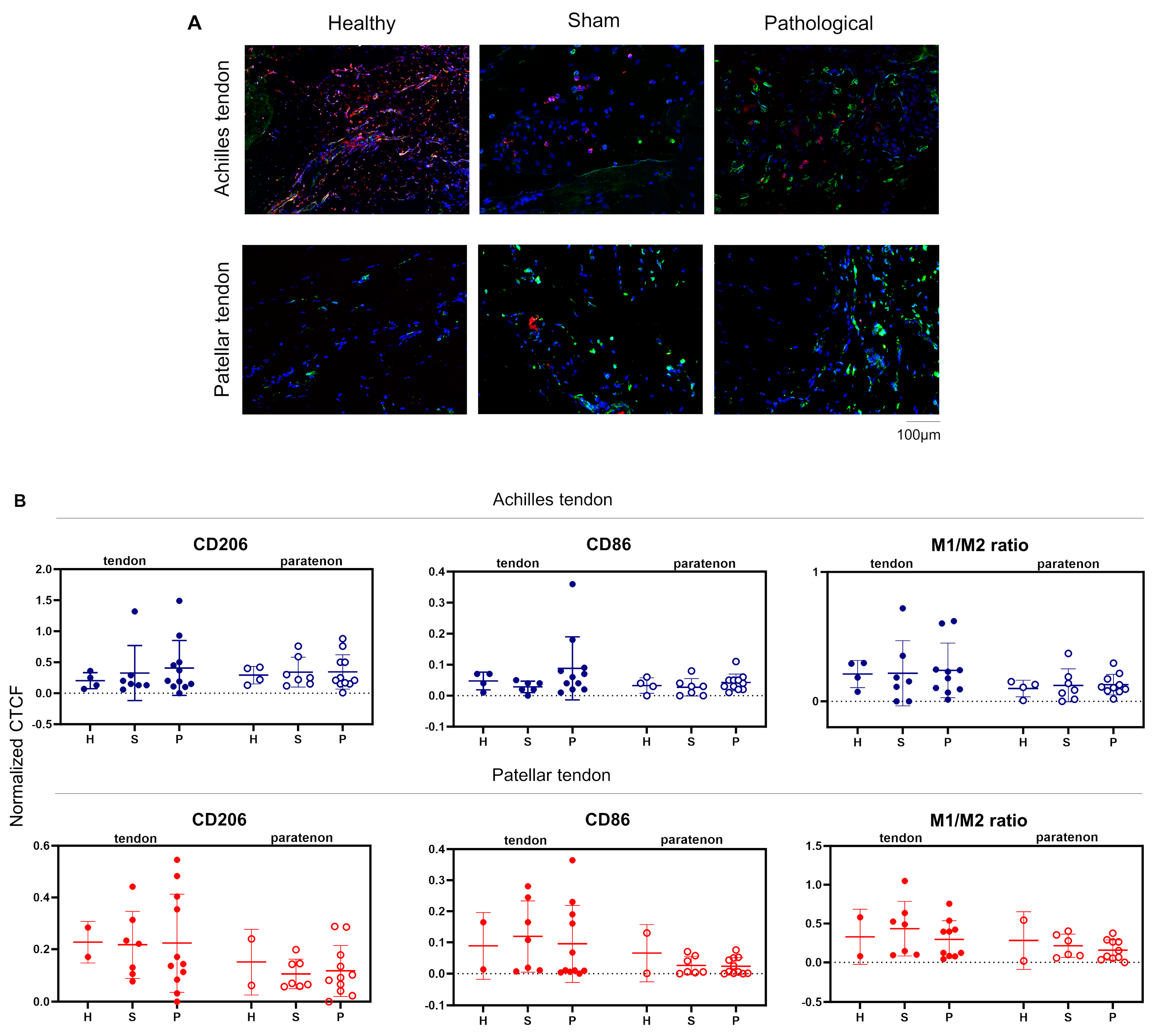 Biomedicines 12 00995 g003