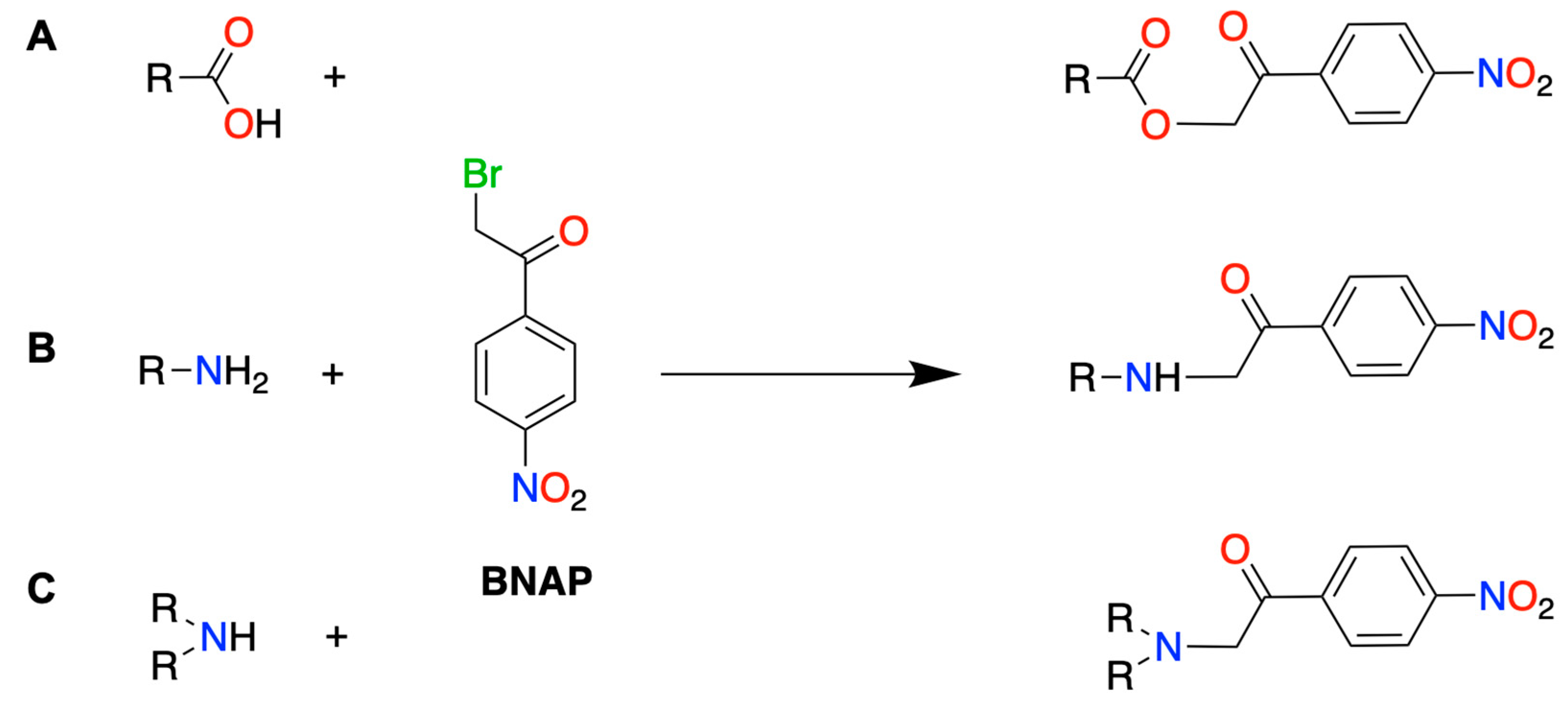 Biomedicines 12 01003 g002