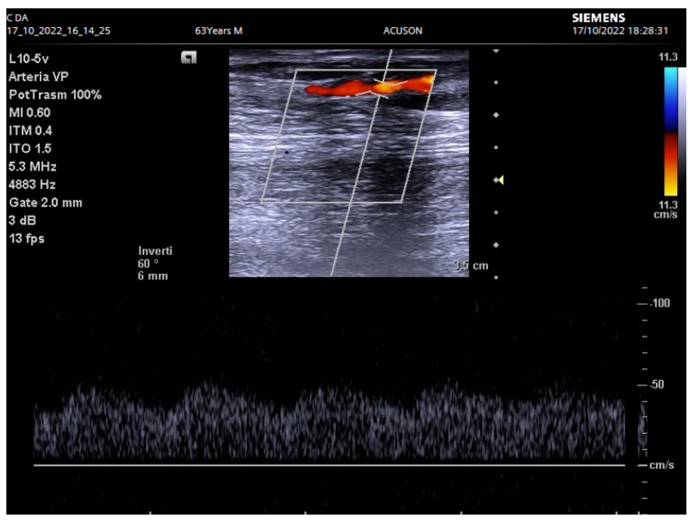 Biomedicines 12 01005 g002