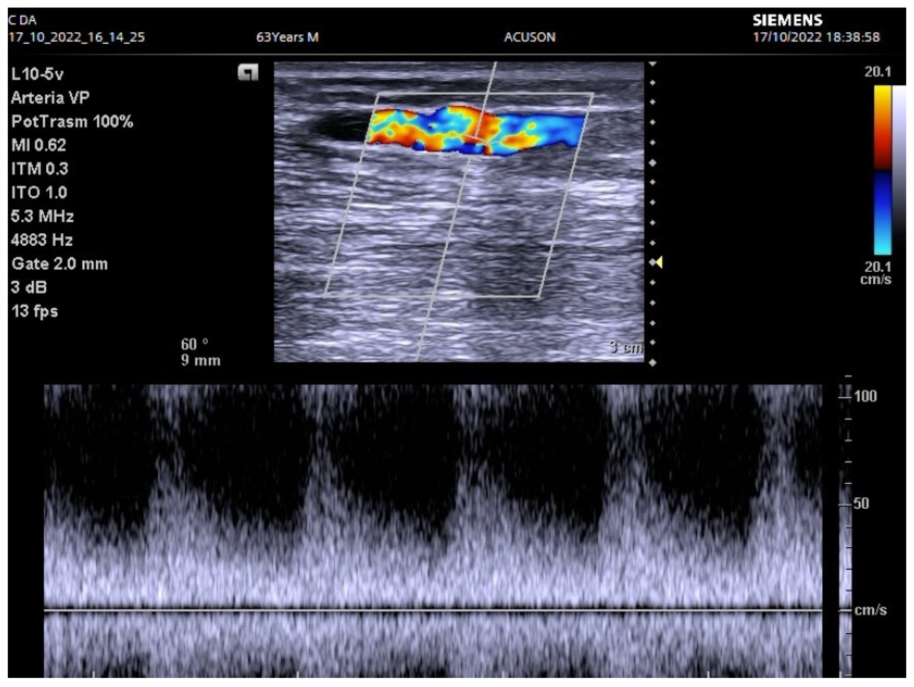 Biomedicines 12 01005 g005
