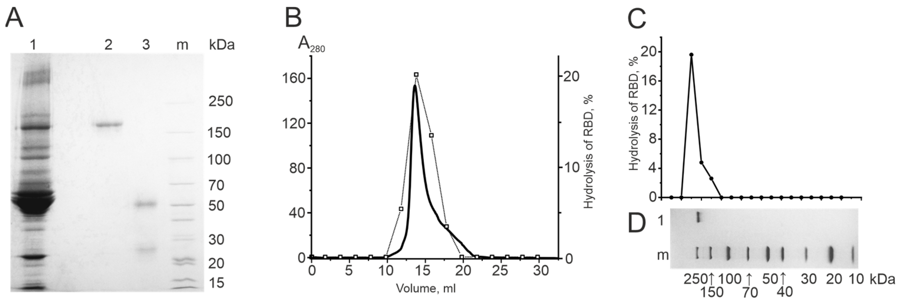 Biomedicines 12 01007 g003