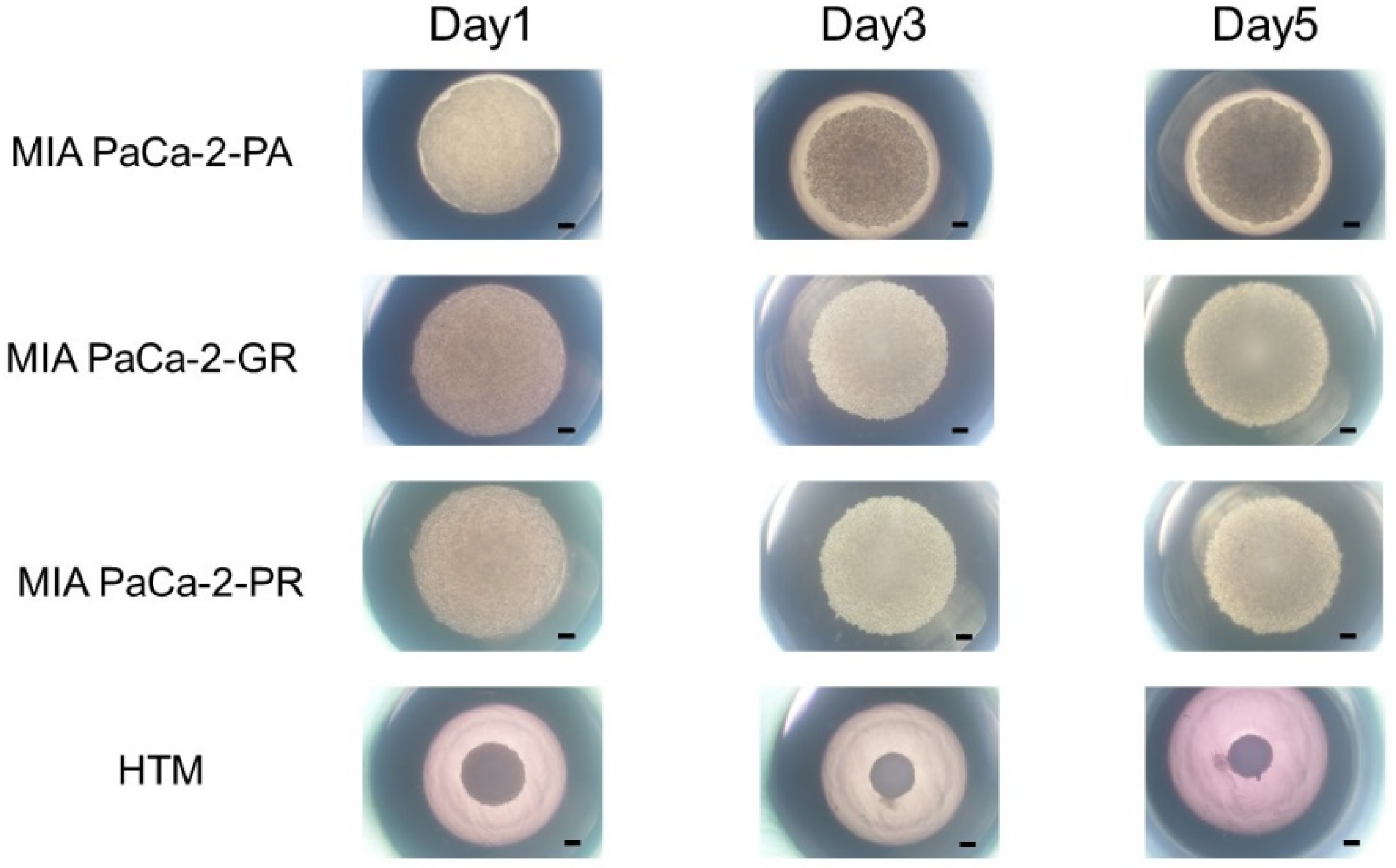 Biomedicines 12 01011 g002