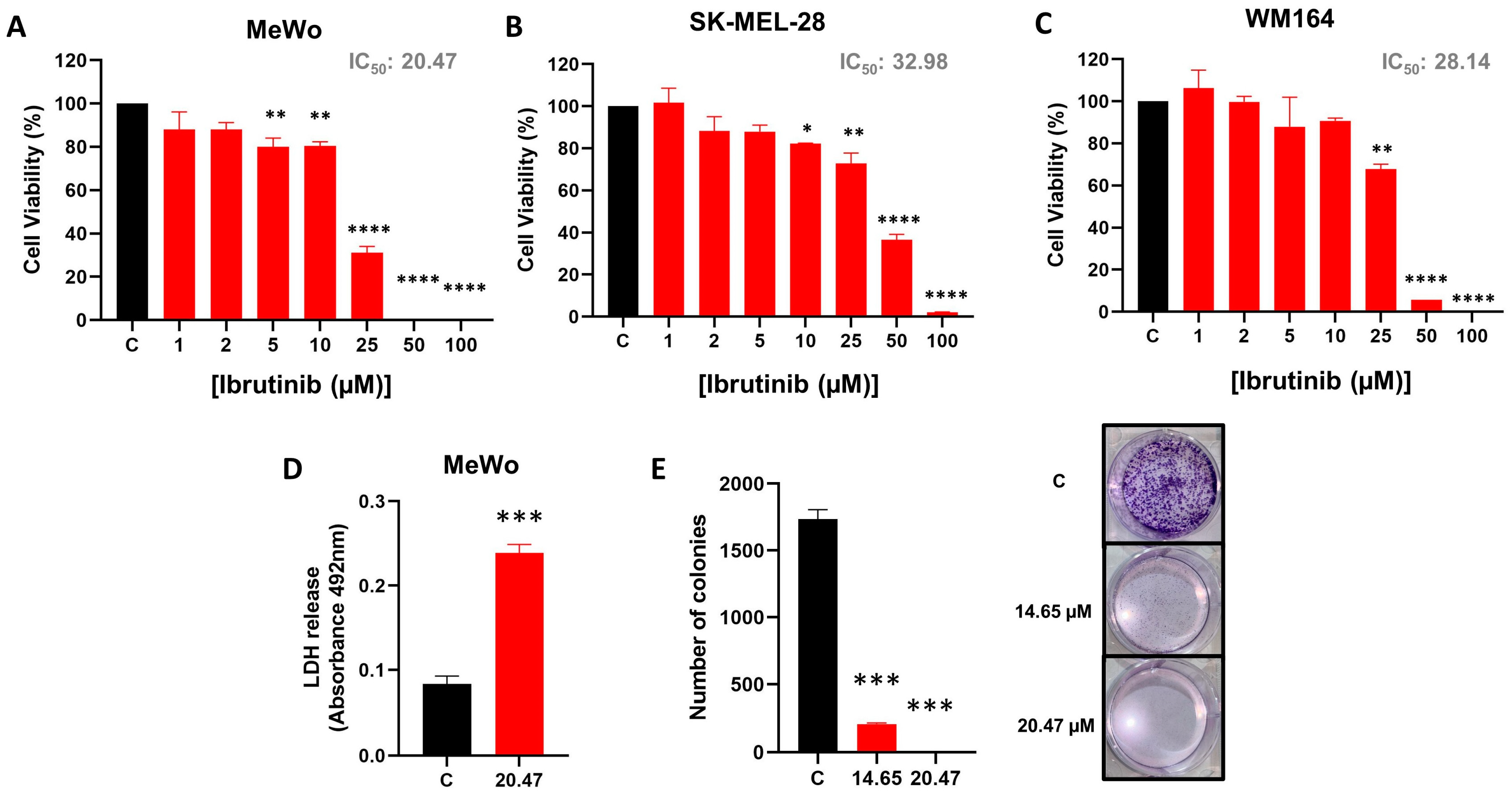 Biomedicines 12 01012 g001
