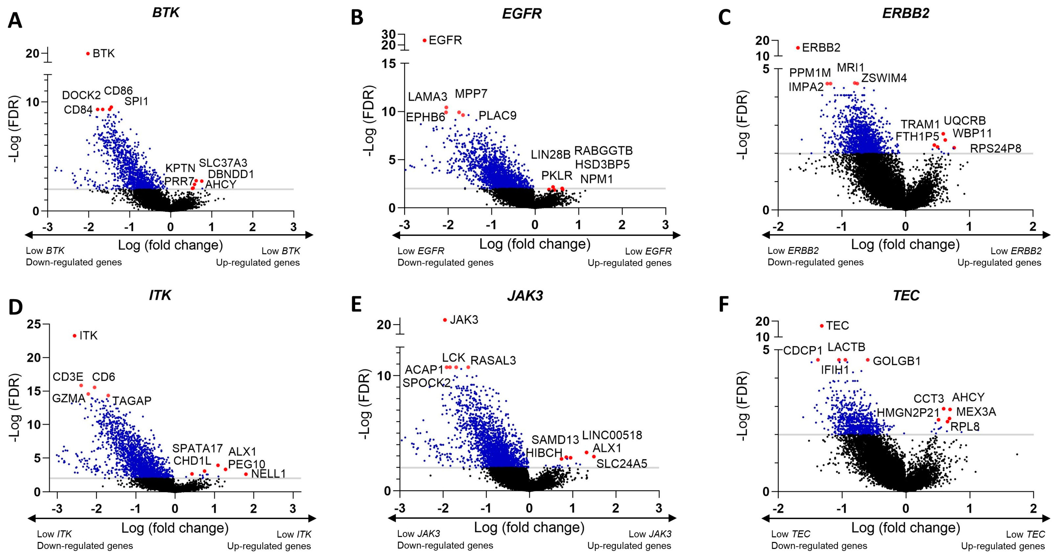 Biomedicines 12 01012 g005