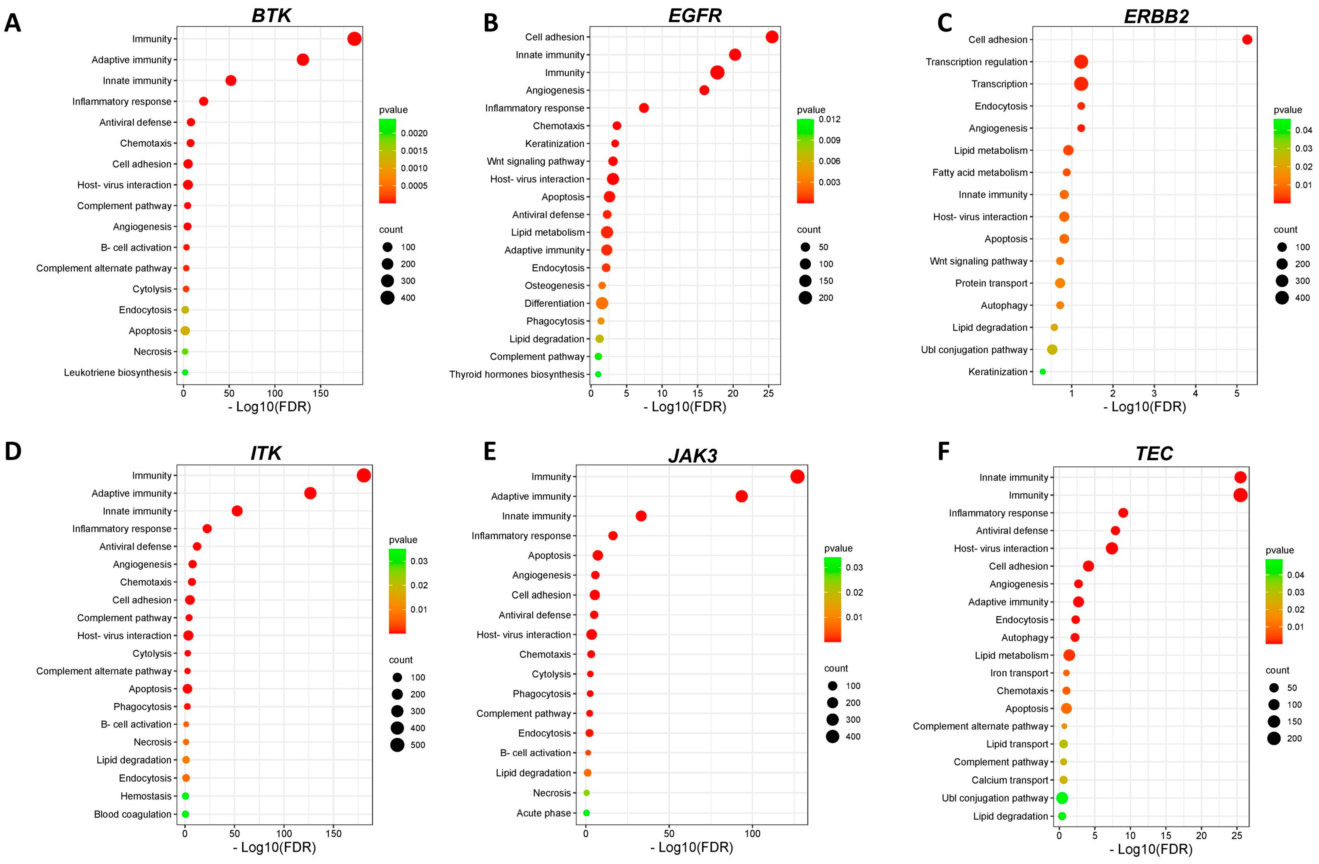 Biomedicines 12 01012 g006