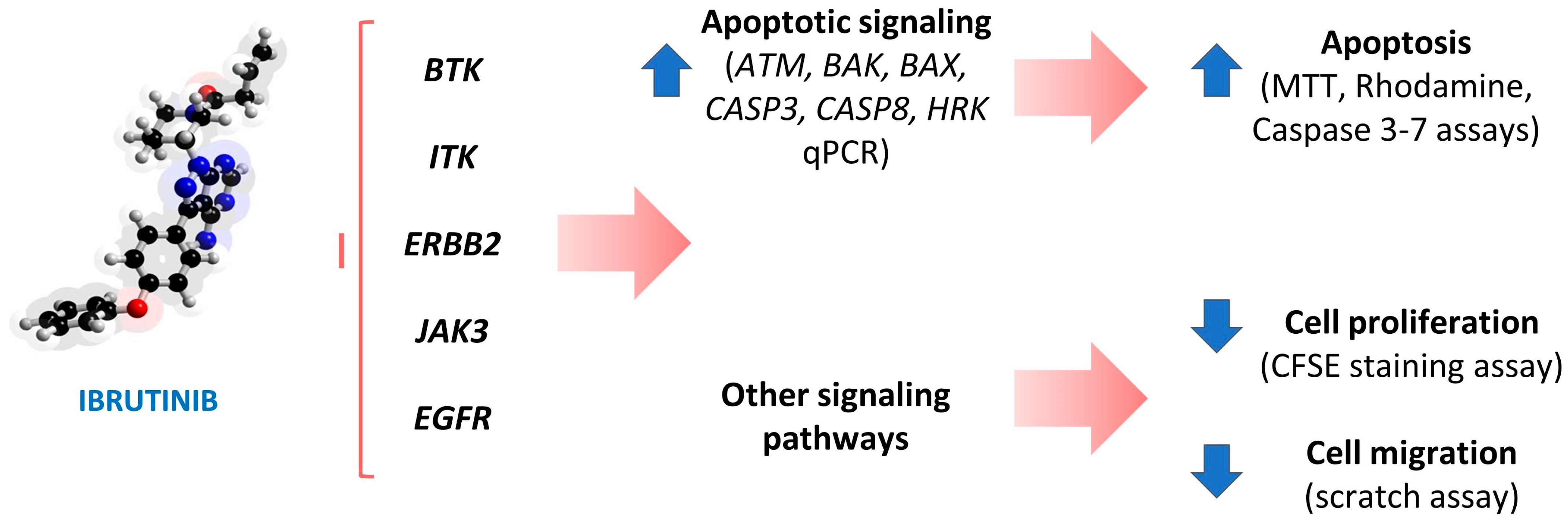 Biomedicines 12 01012 g007