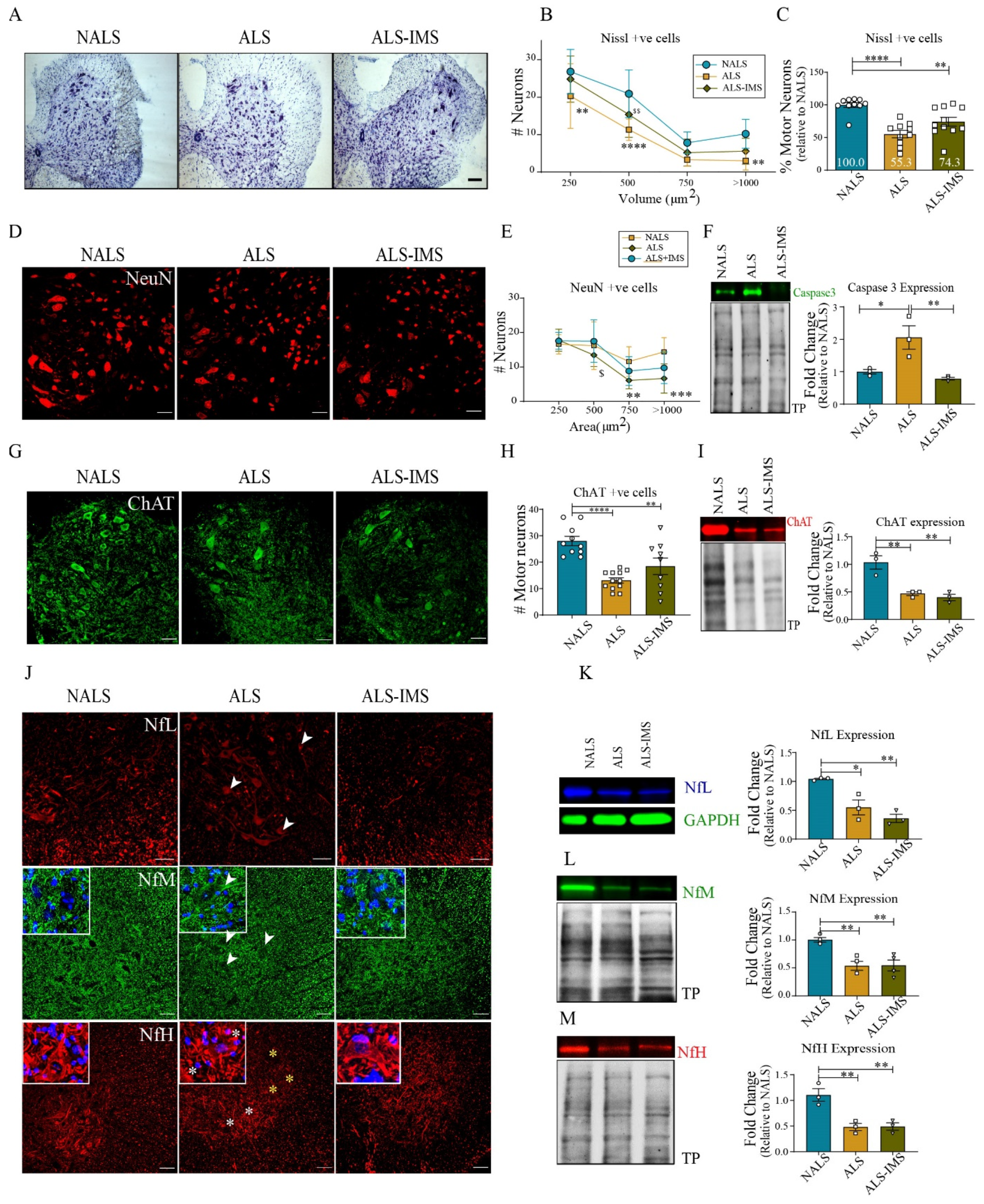 Biomedicines 12 01017 g002 Biomedicines 12 01017 g002