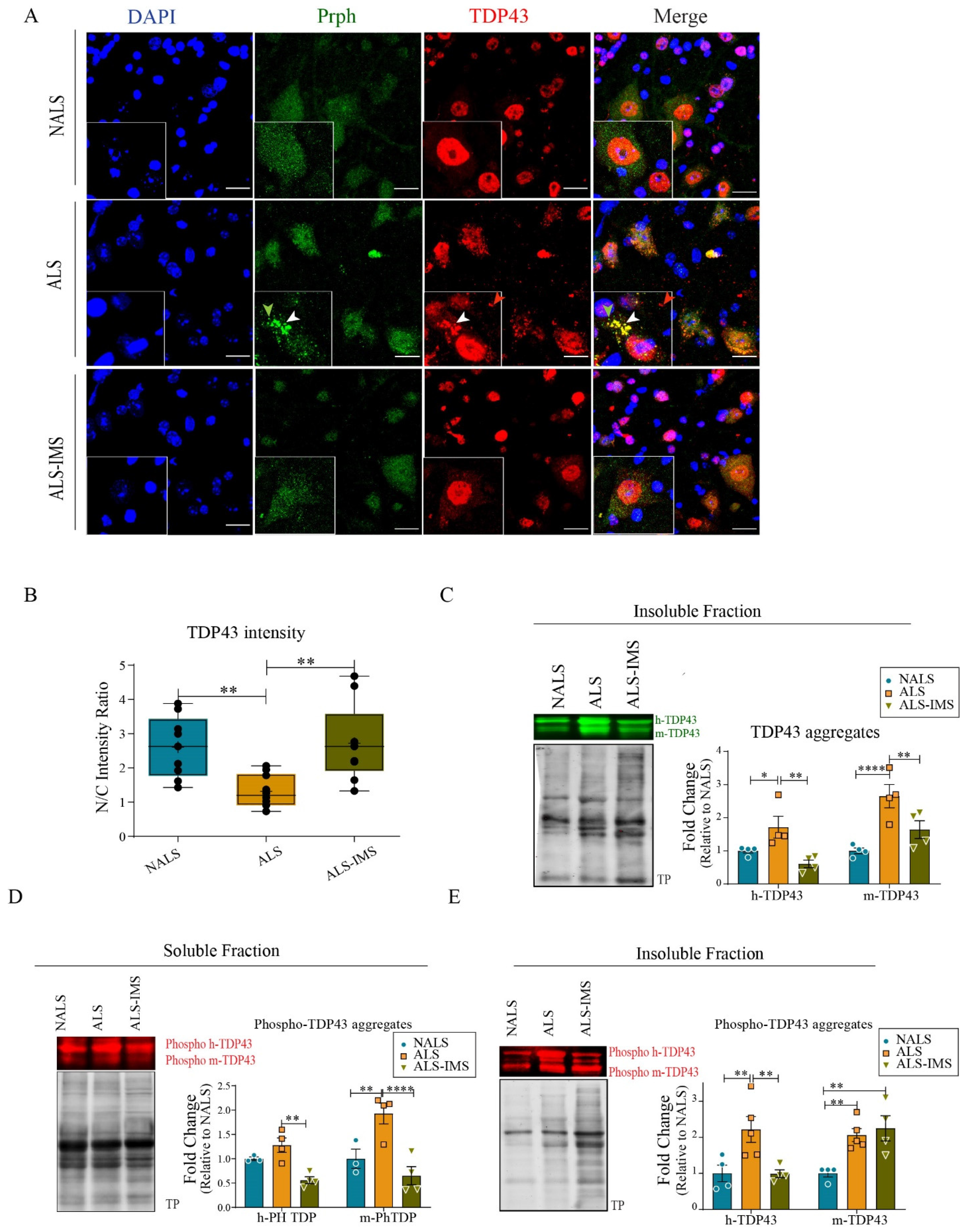 Biomedicines 12 01017 g003 Biomedicines 12 01017 g003