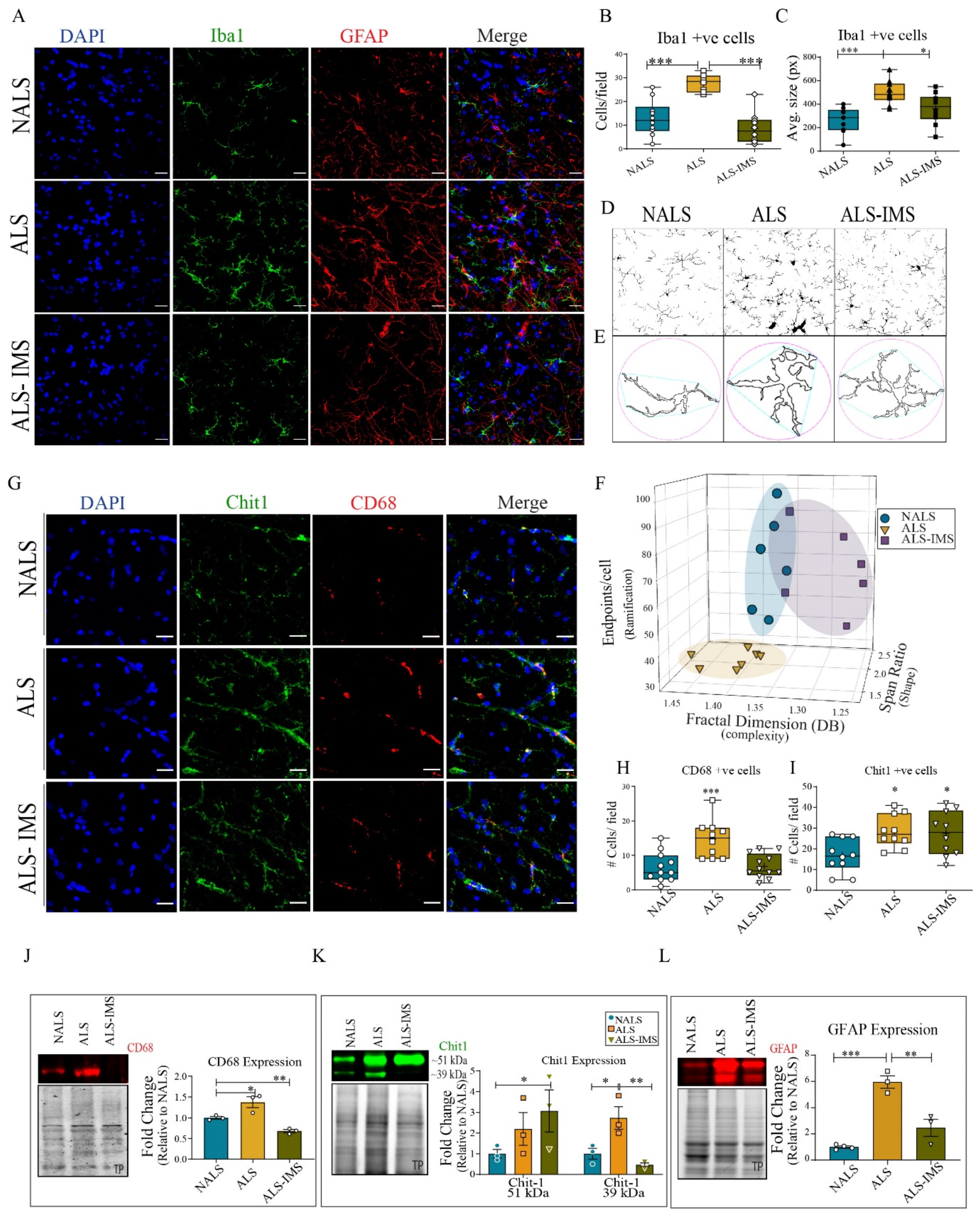 Biomedicines 12 01017 g004 Biomedicines 12 01017 g004