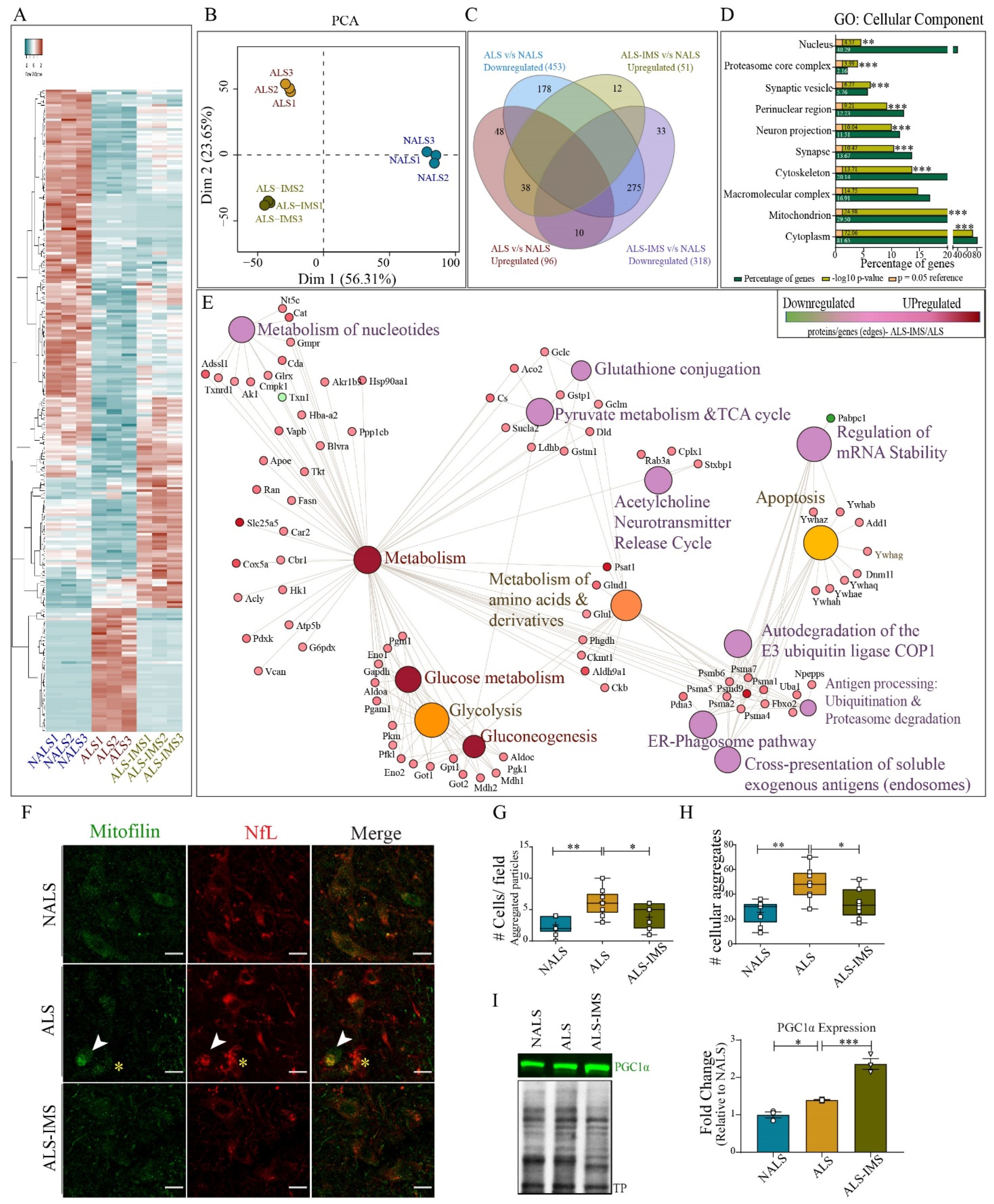 Biomedicines 12 01017 g005 Biomedicines 12 01017 g005