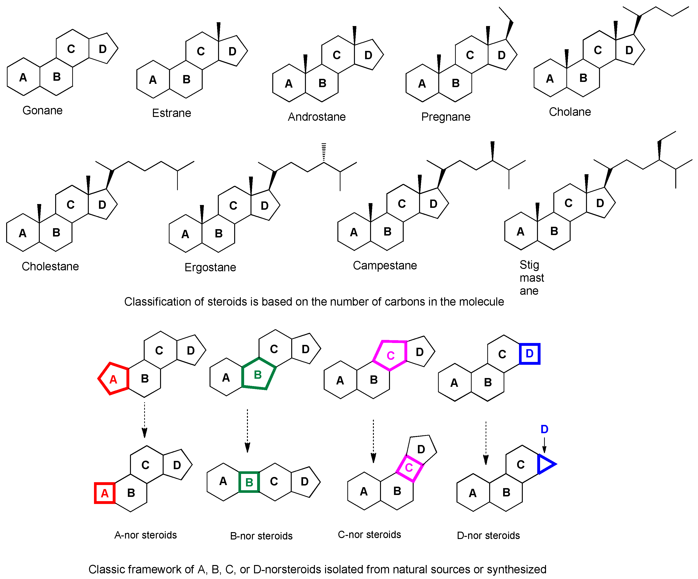 Biomedicines 12 01021 g001 Biomedicines 12 01021 g001