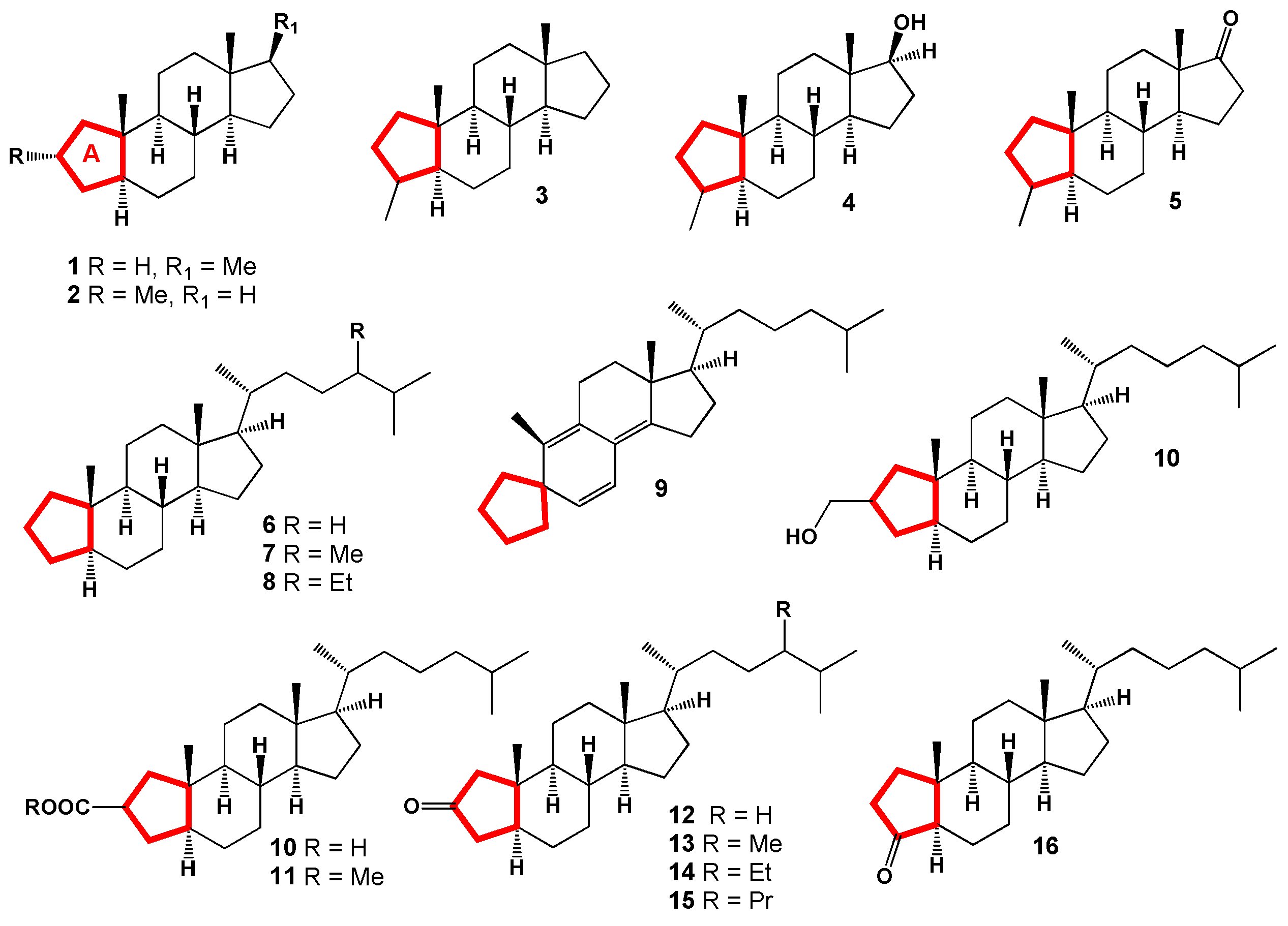 Biomedicines 12 01021 g002 Biomedicines 12 01021 g002