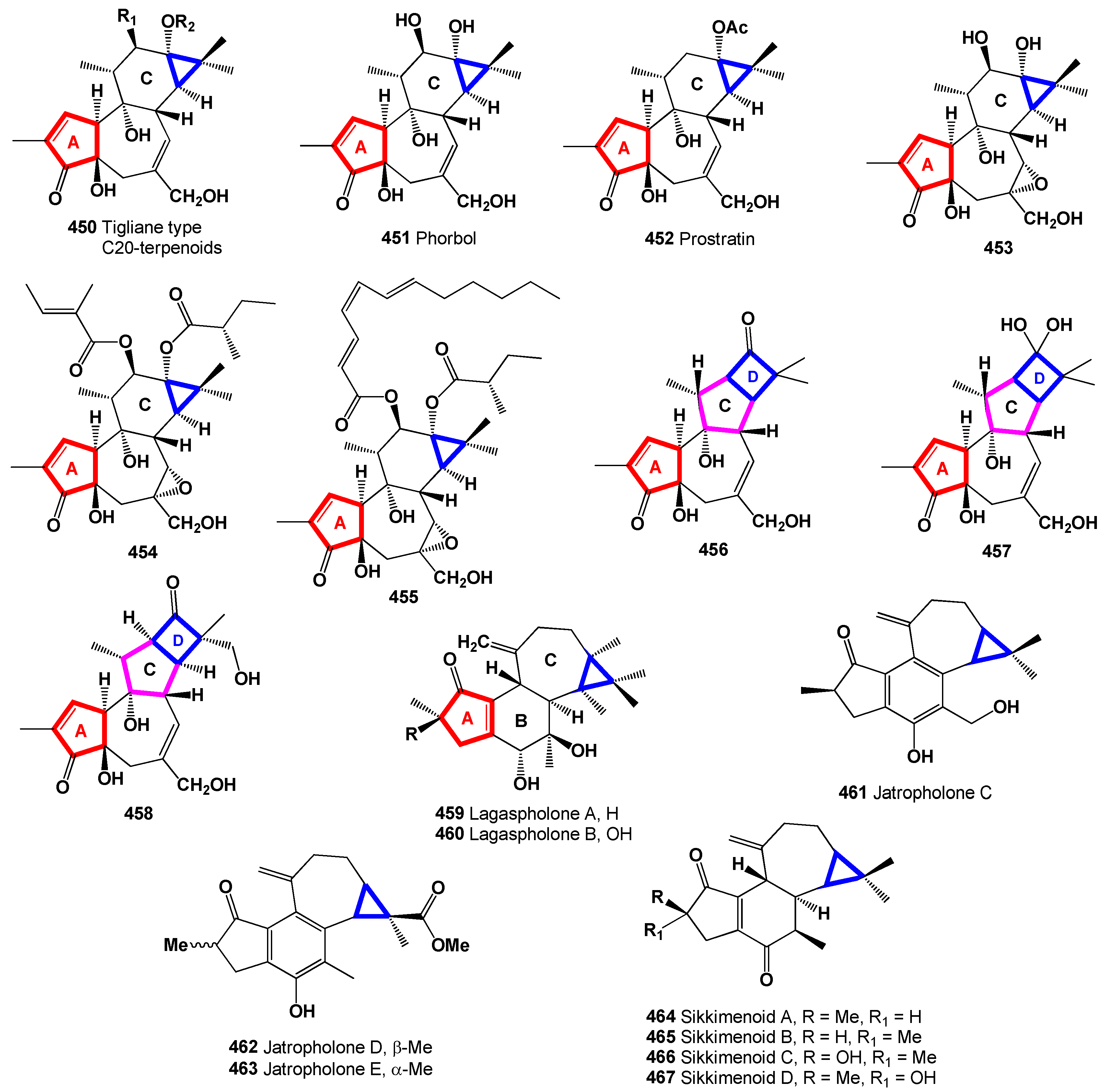 Biomedicines 12 01021 g018 Biomedicines 12 01021 g018