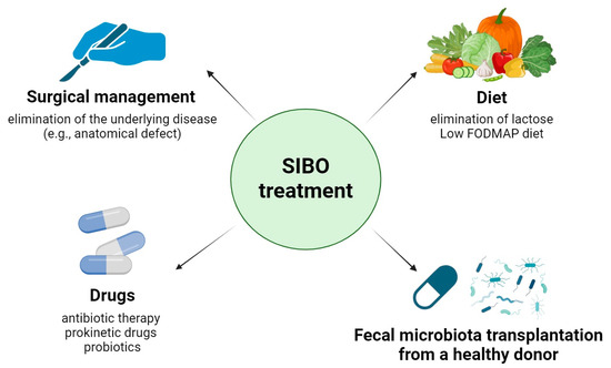 Biomedicines | Free Full-Text | Small Intestinal Bacterial Overgrowth ...