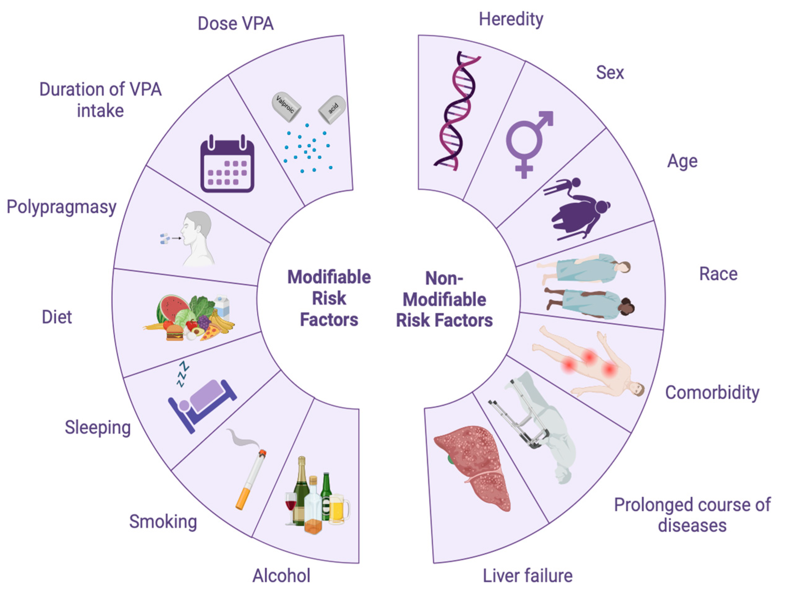 Biomedicines 12 01036 g003