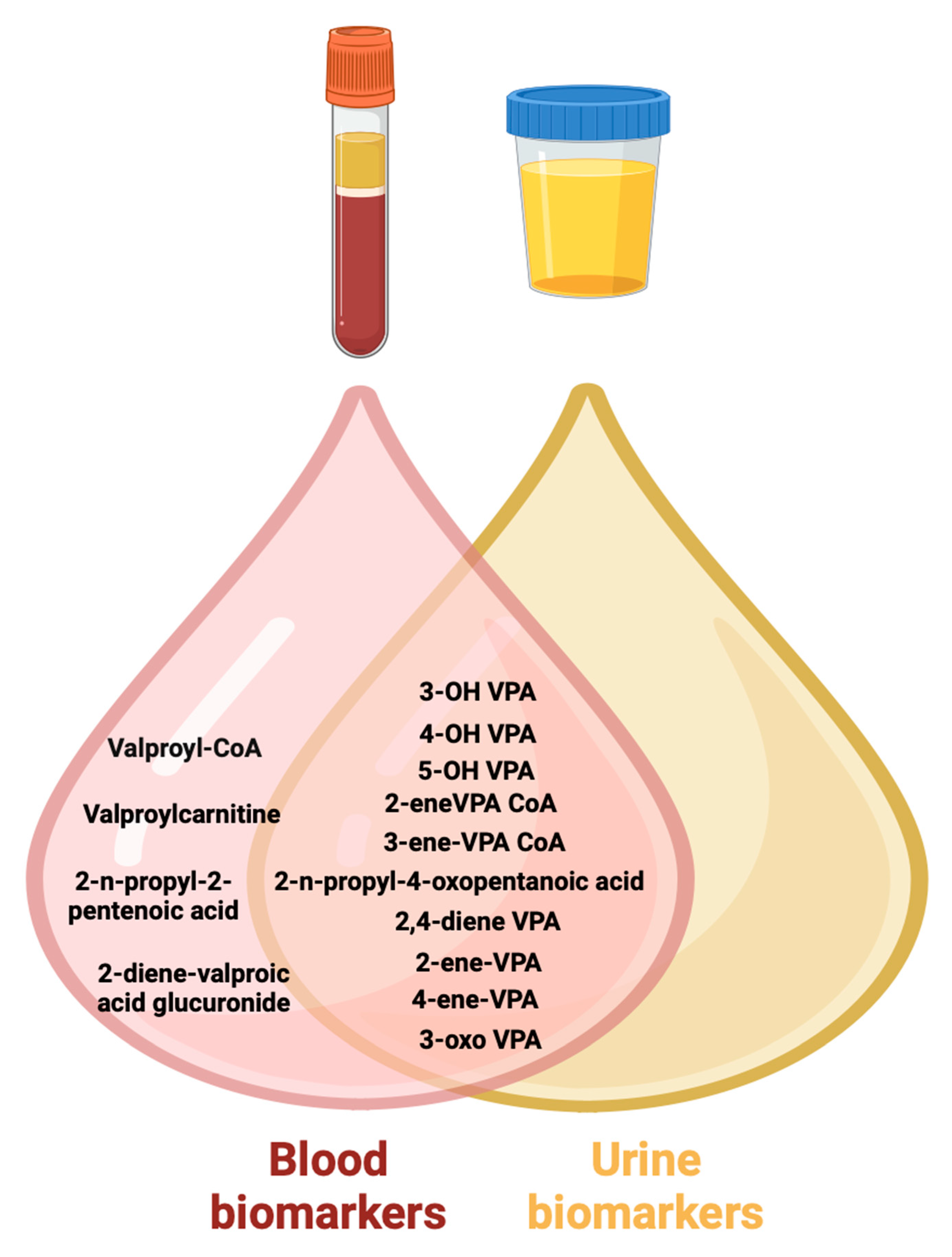 Biomedicines 12 01036 g009