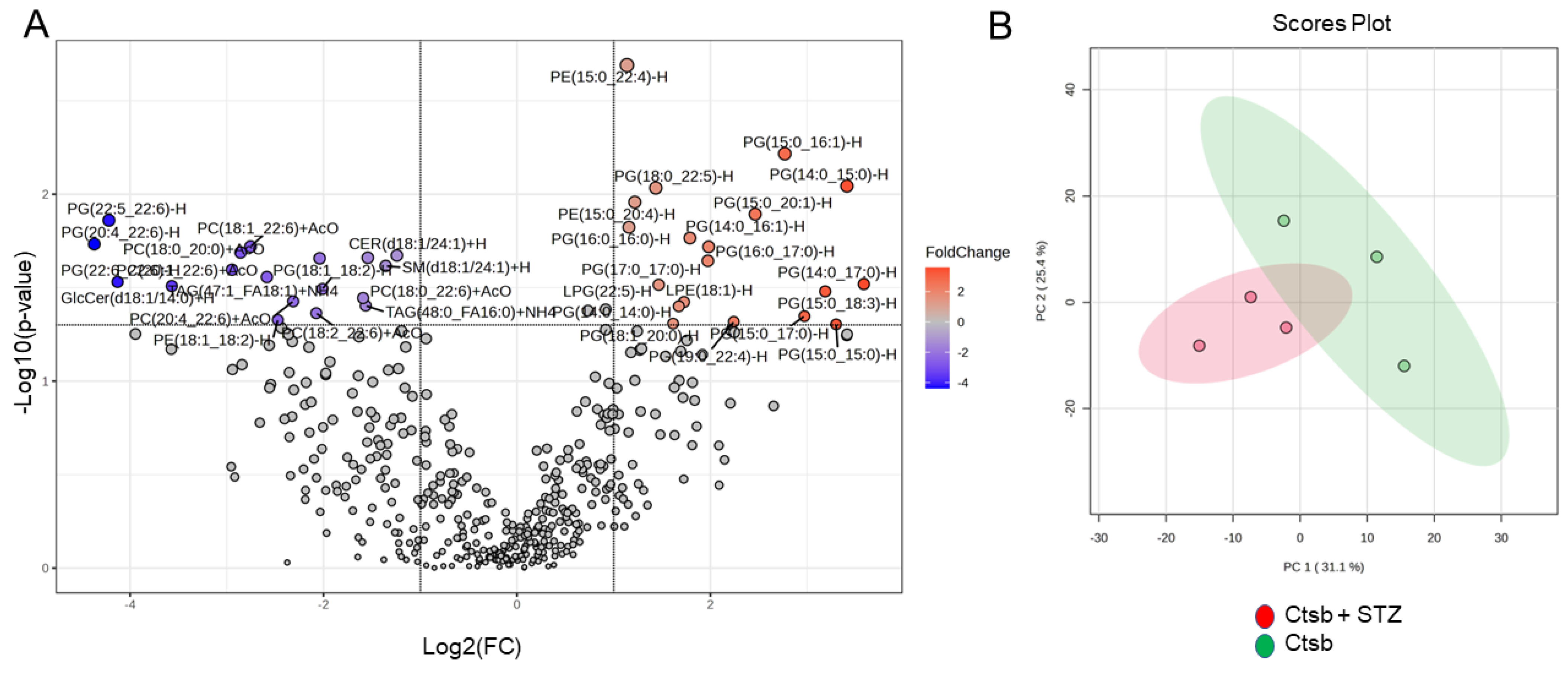 Biomedicines 12 01038 g002a