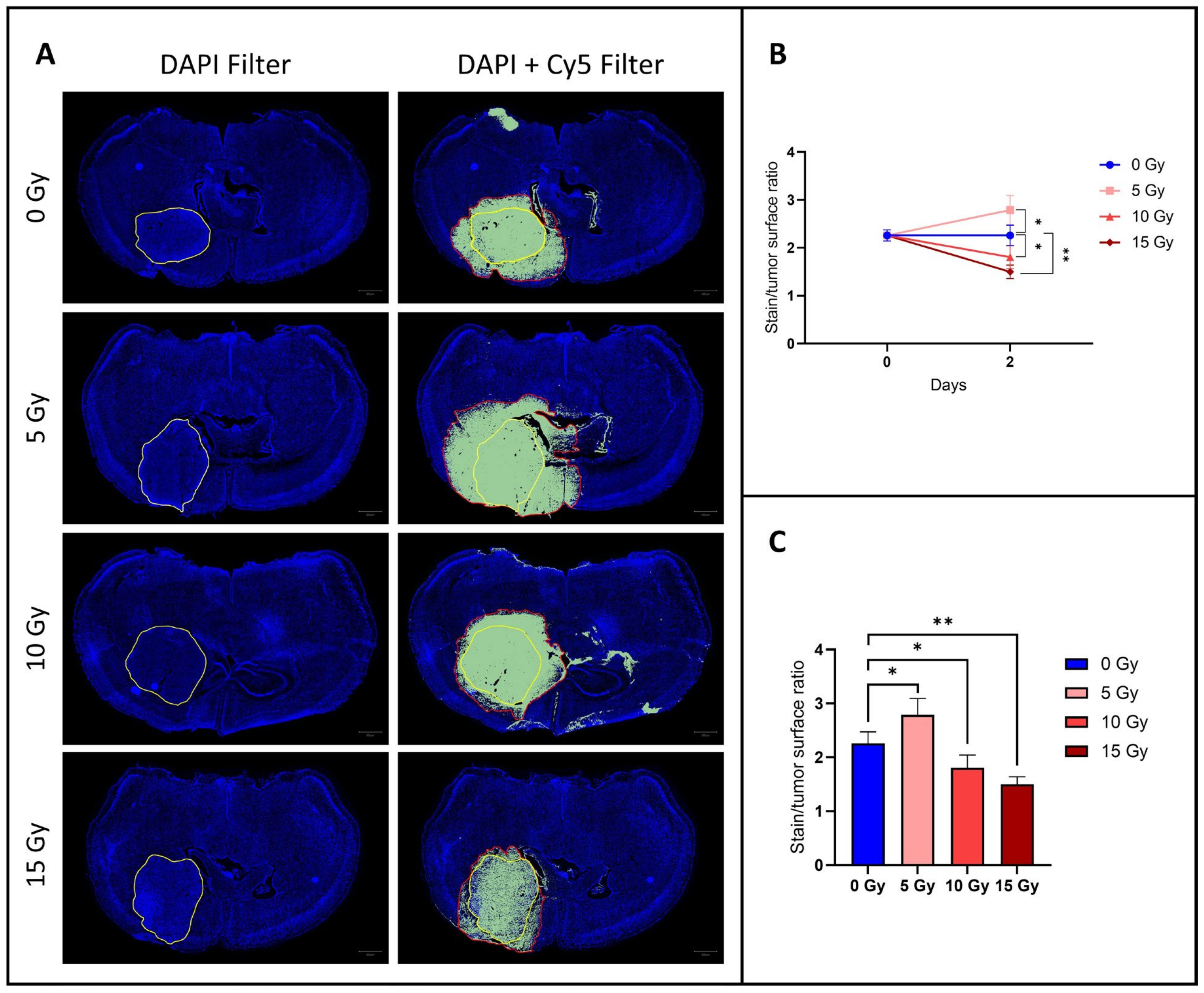Biomedicines 12 01091 g002