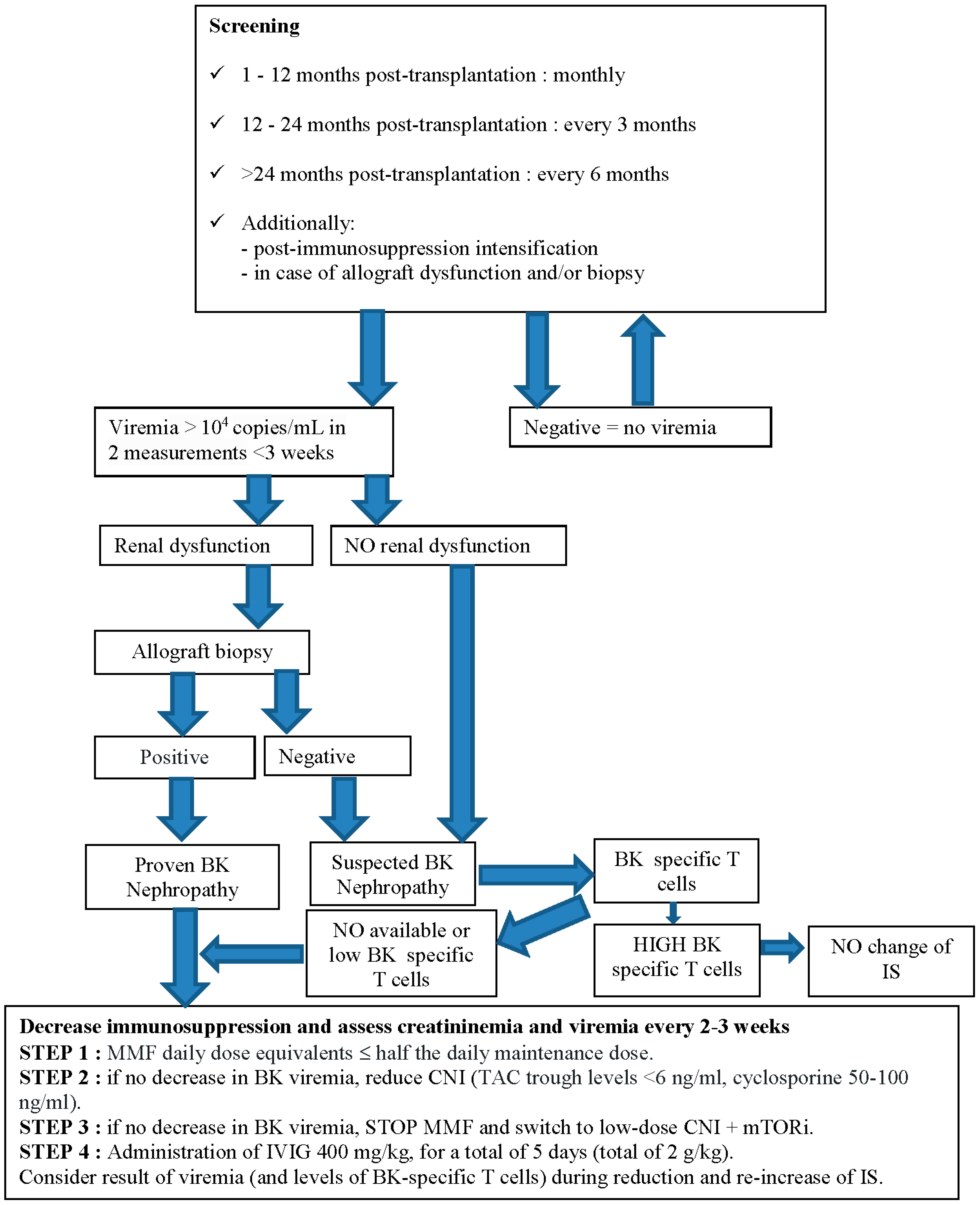 Biomedicines 12 01093 g001 Biomedicines 12 01093 g001