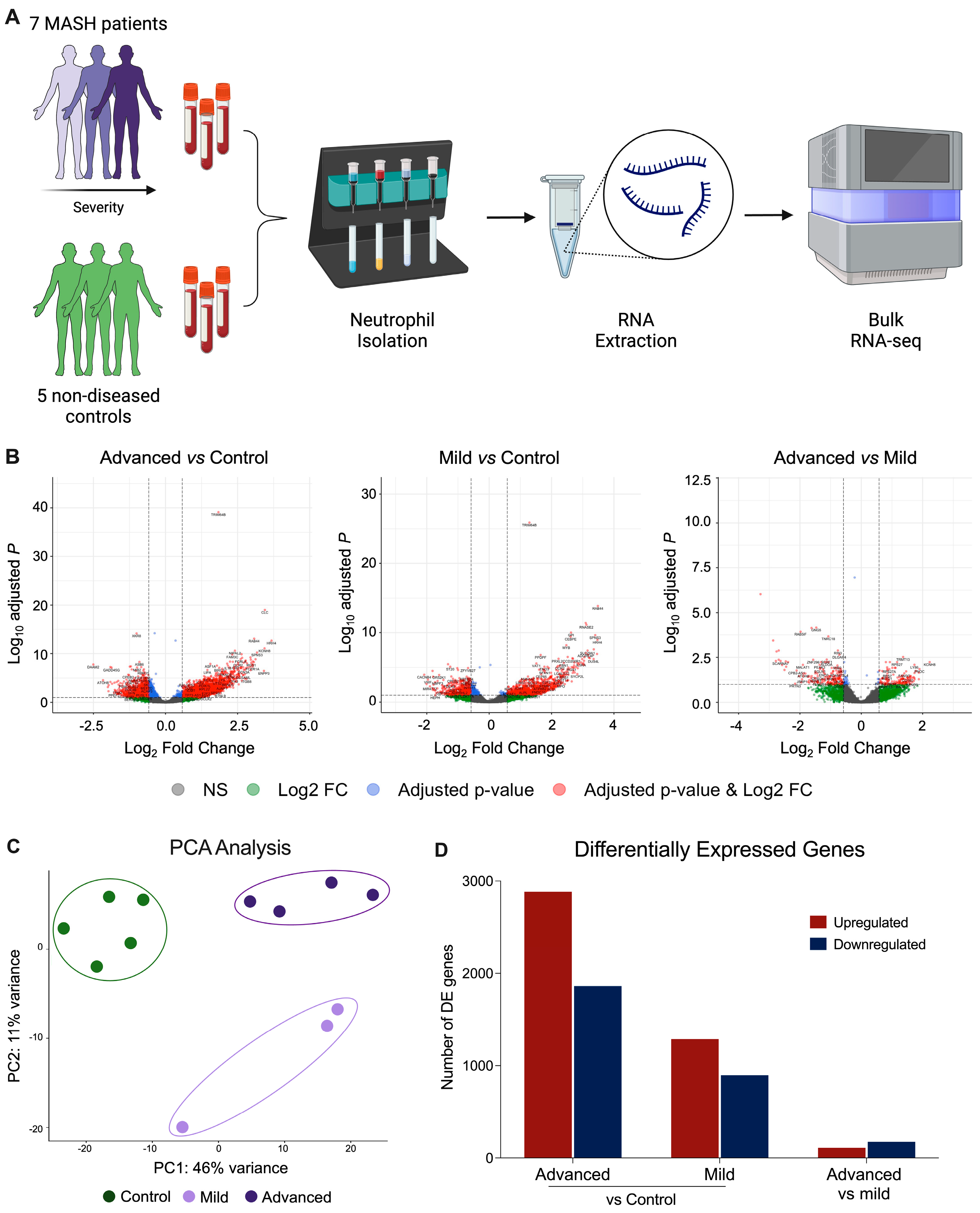 Biomedicines 12 01105 g001