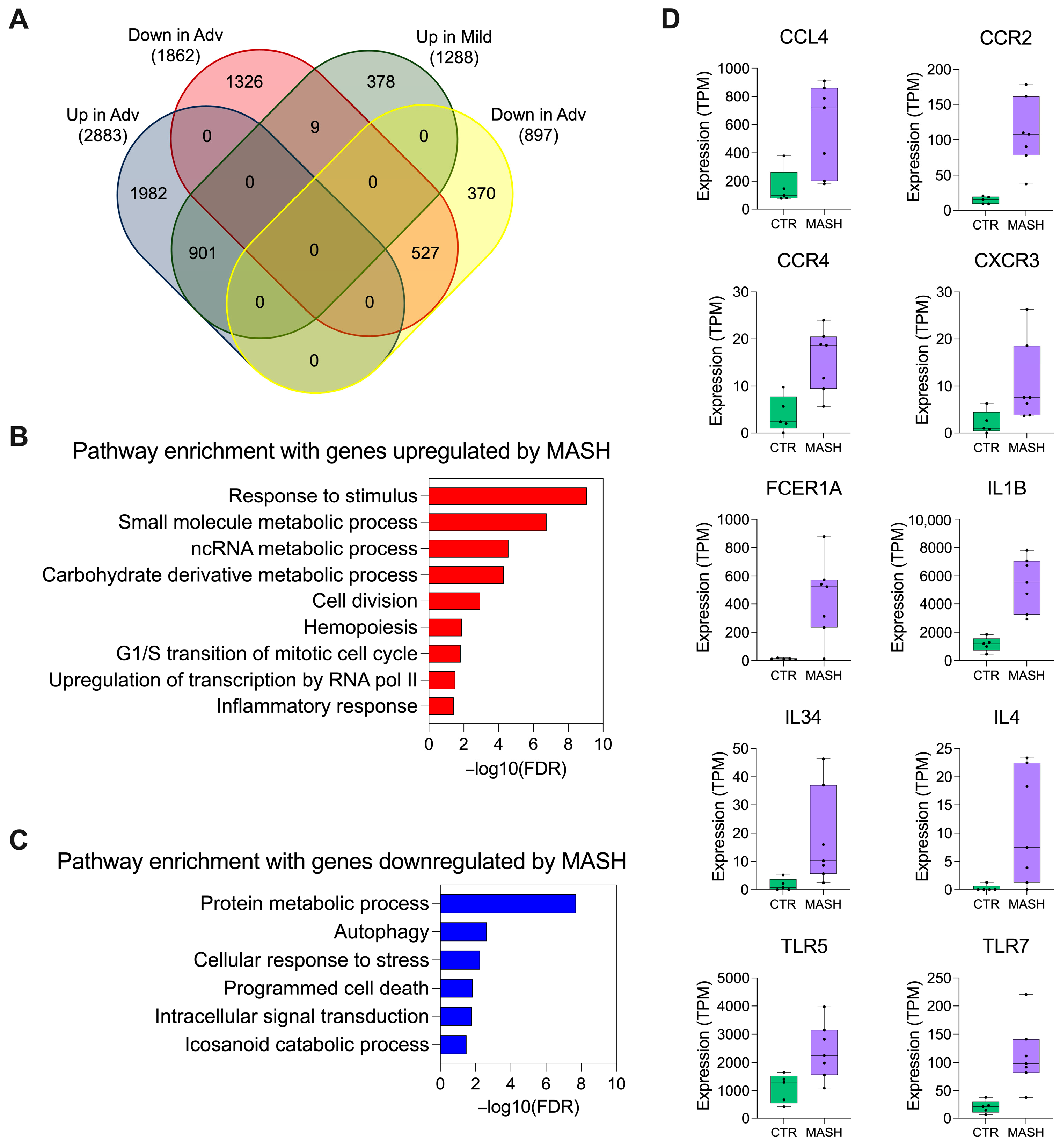 Biomedicines 12 01105 g002