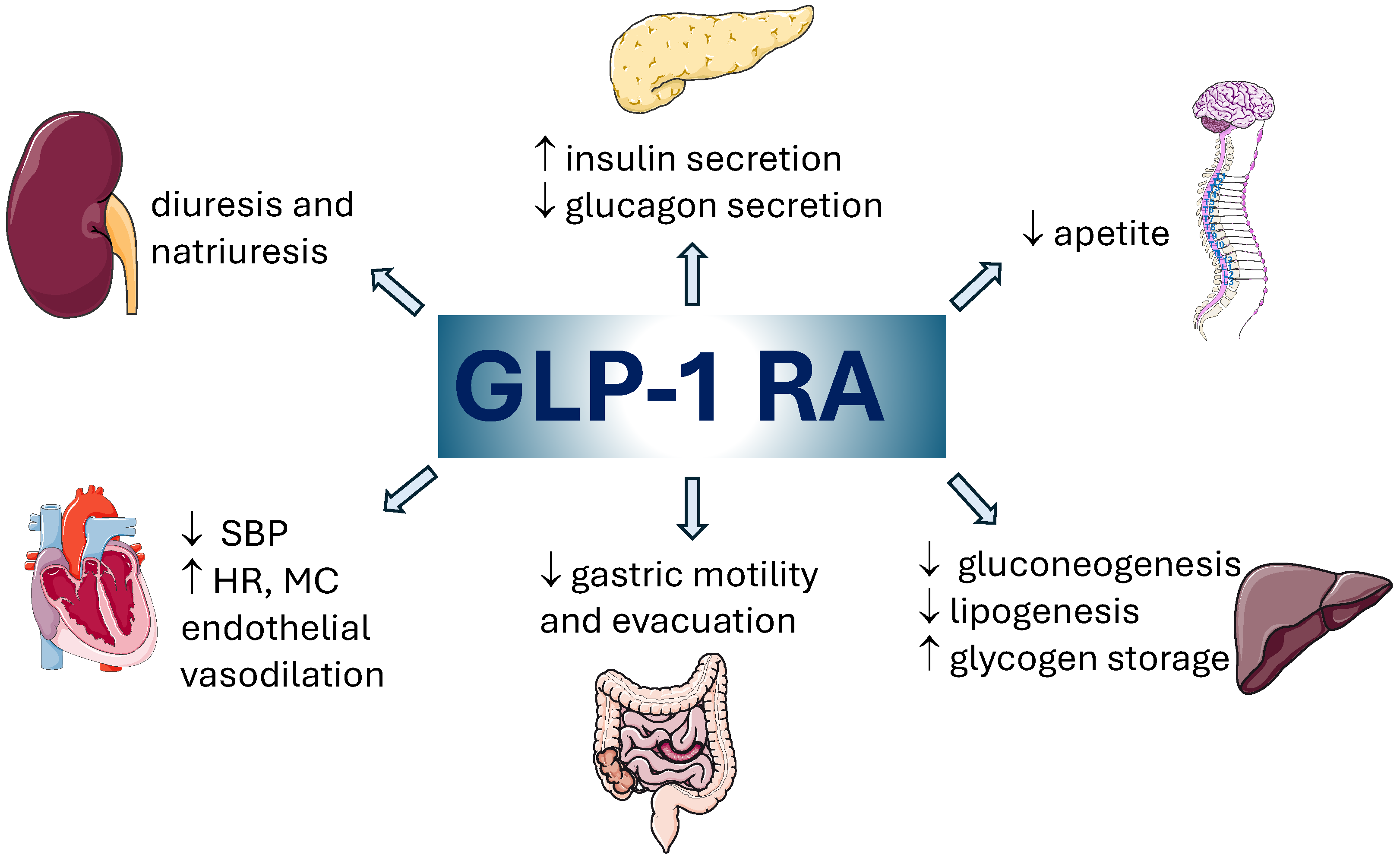 Biomedicines 12 01124 g001