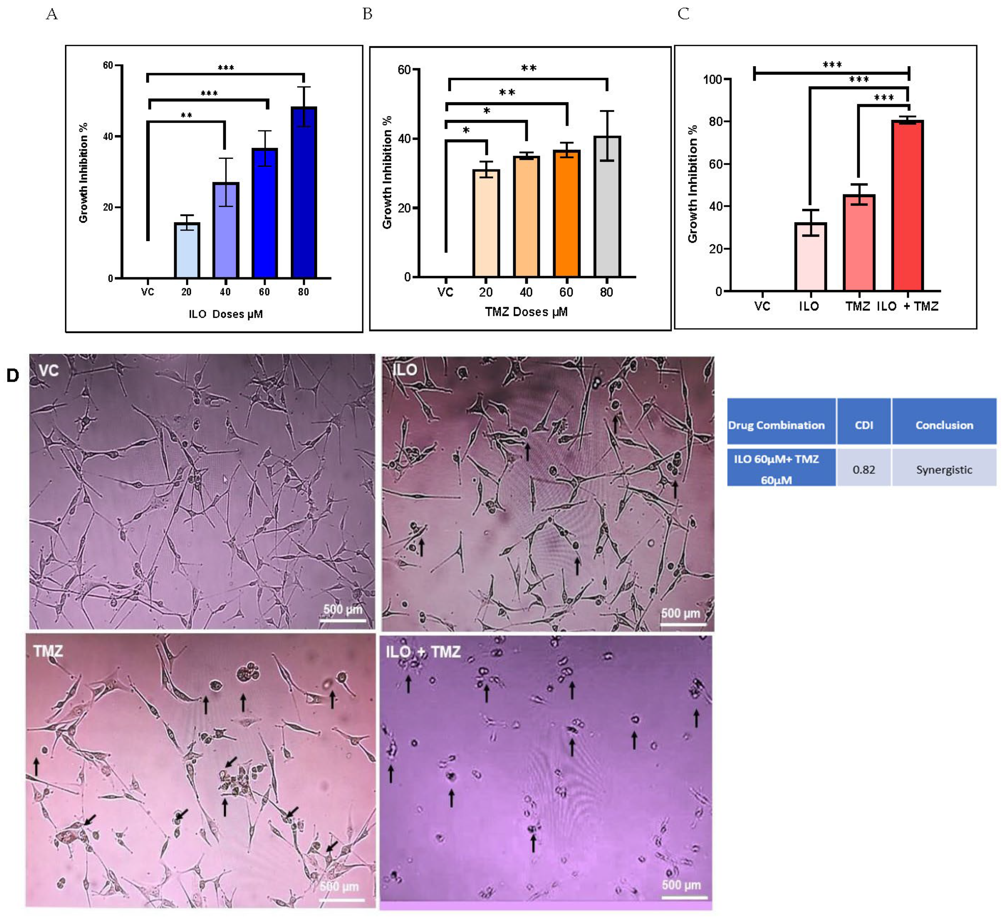 Biomedicines 12 01134 g001 Biomedicines 12 01134 g001