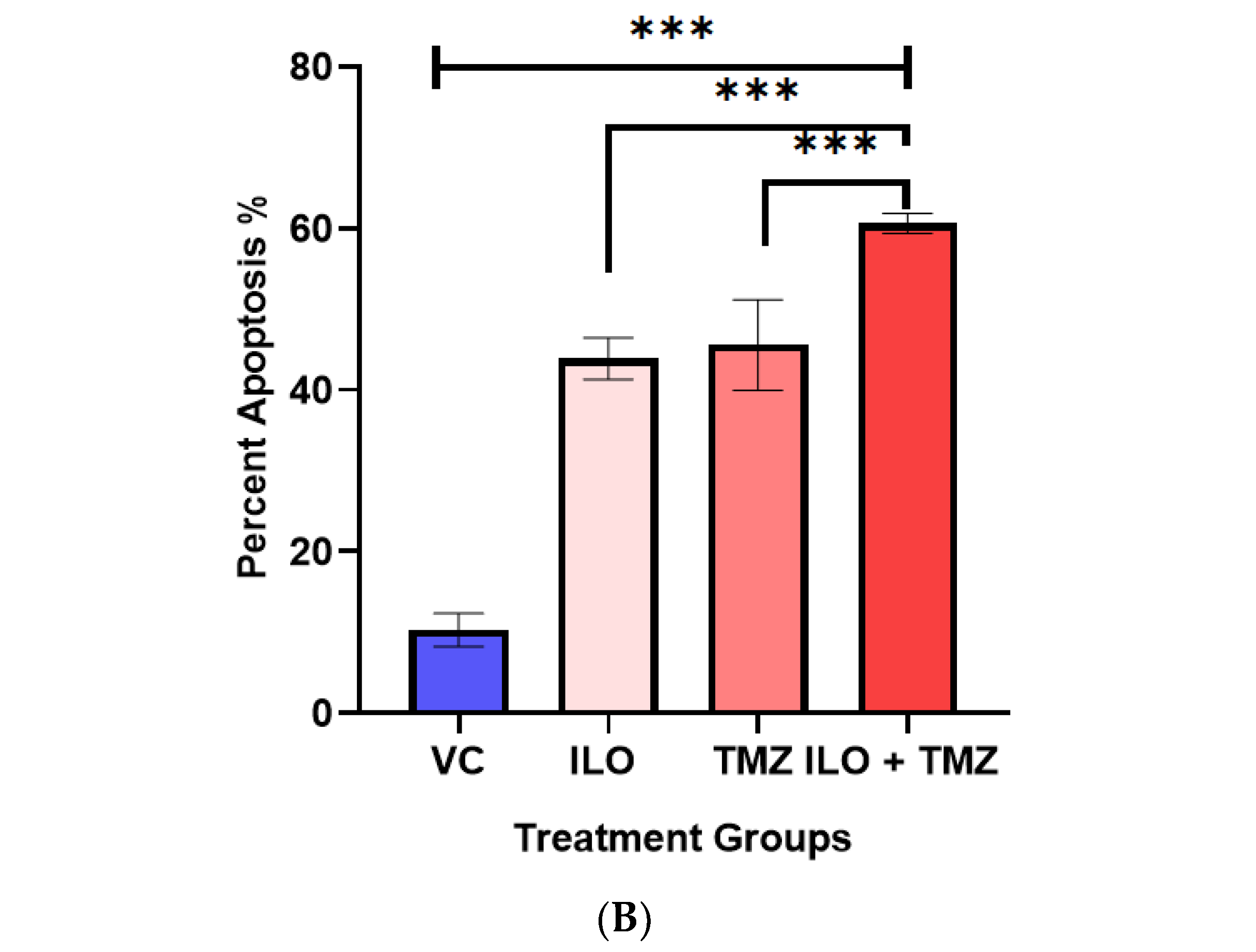Biomedicines 12 01134 g002b Biomedicines 12 01134 g002b
