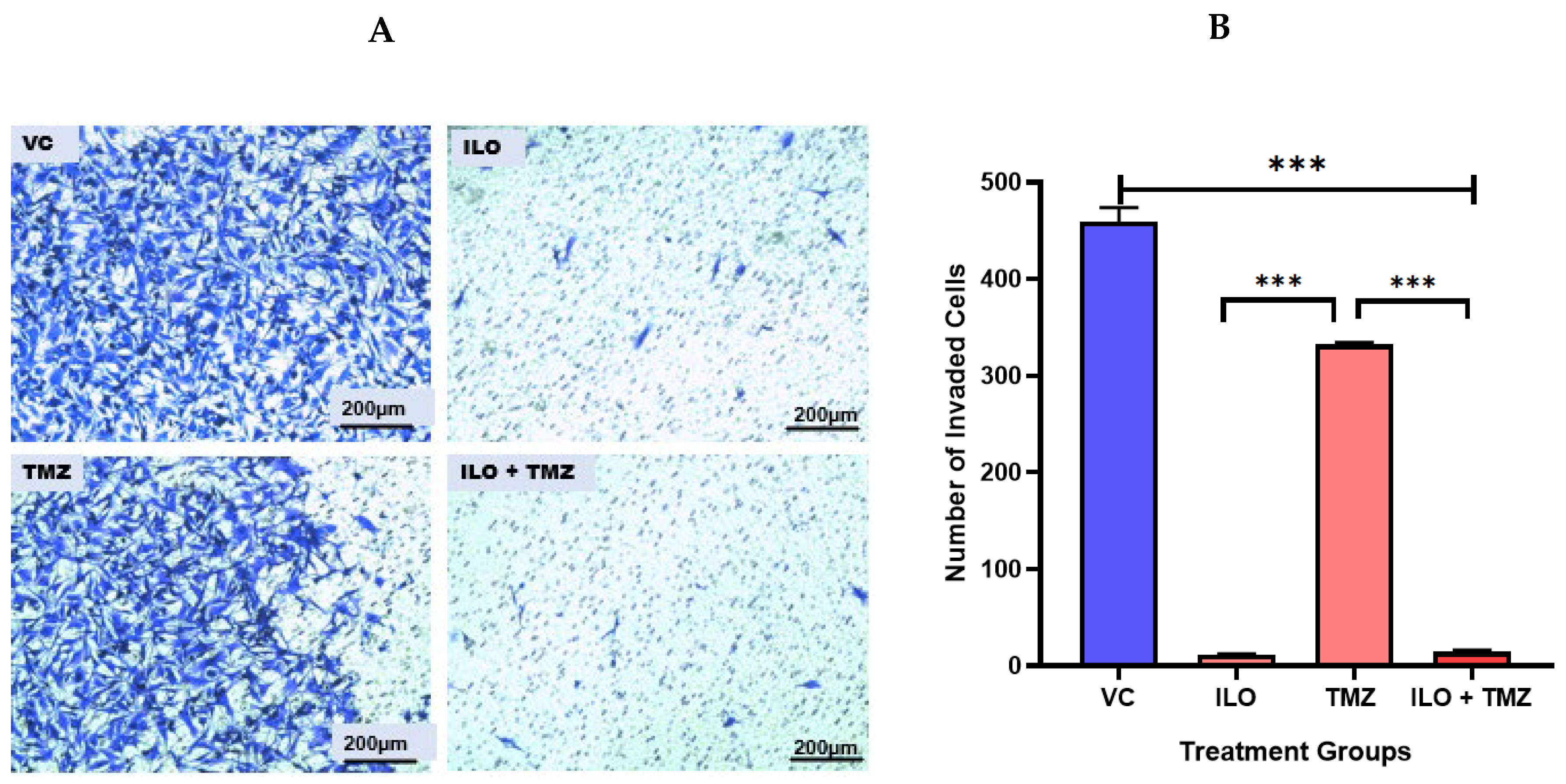 Biomedicines 12 01134 g004 Biomedicines 12 01134 g004