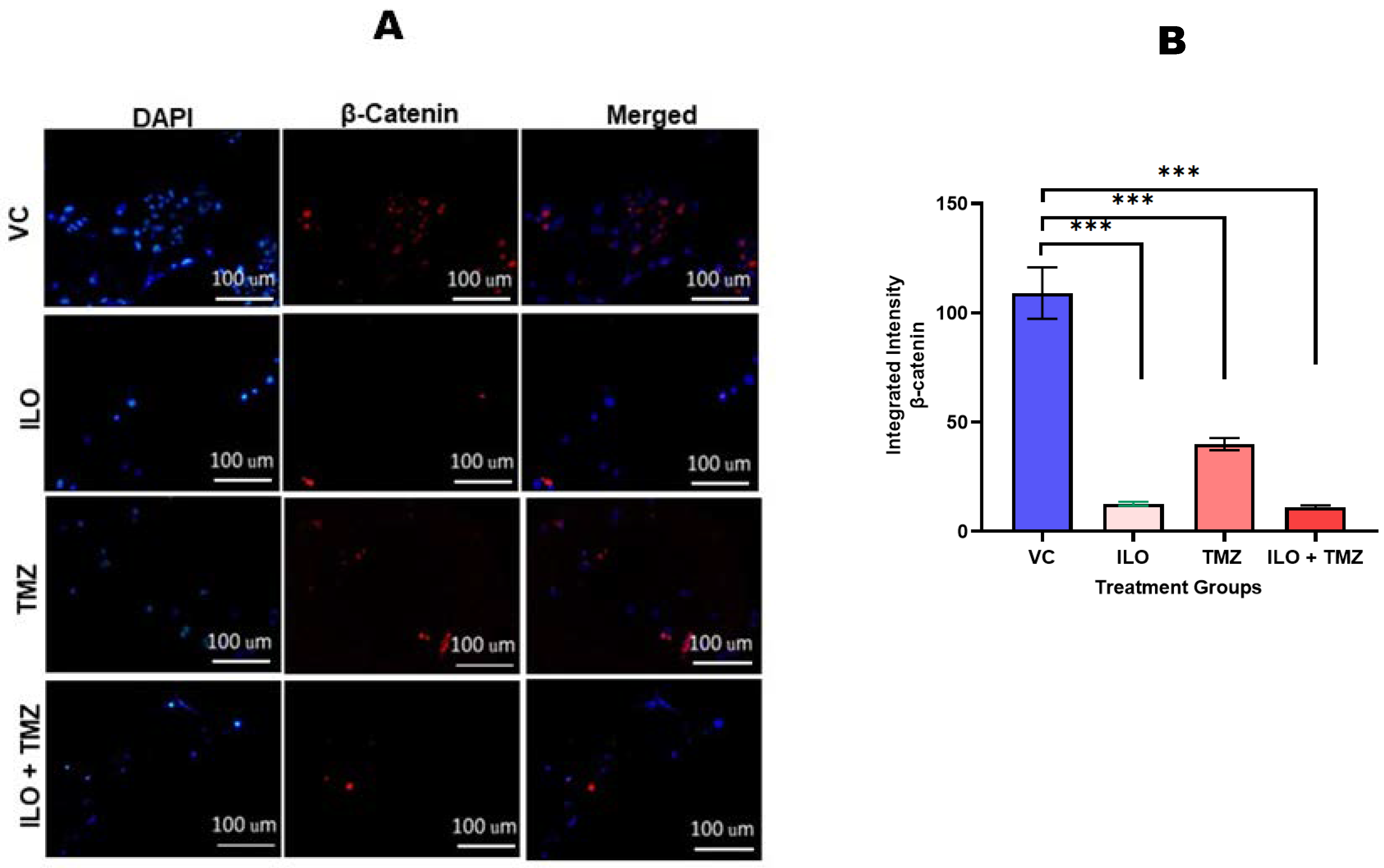 Biomedicines 12 01134 g006 Biomedicines 12 01134 g006