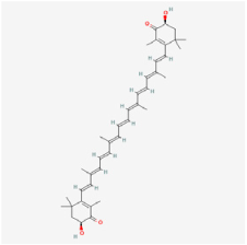 Biomedicines 12 01138 i003