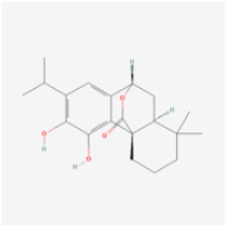 Biomedicines 12 01138 i008
