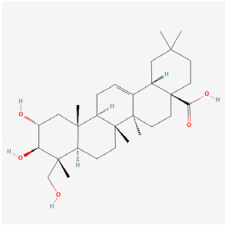 Biomedicines 12 01138 i011
