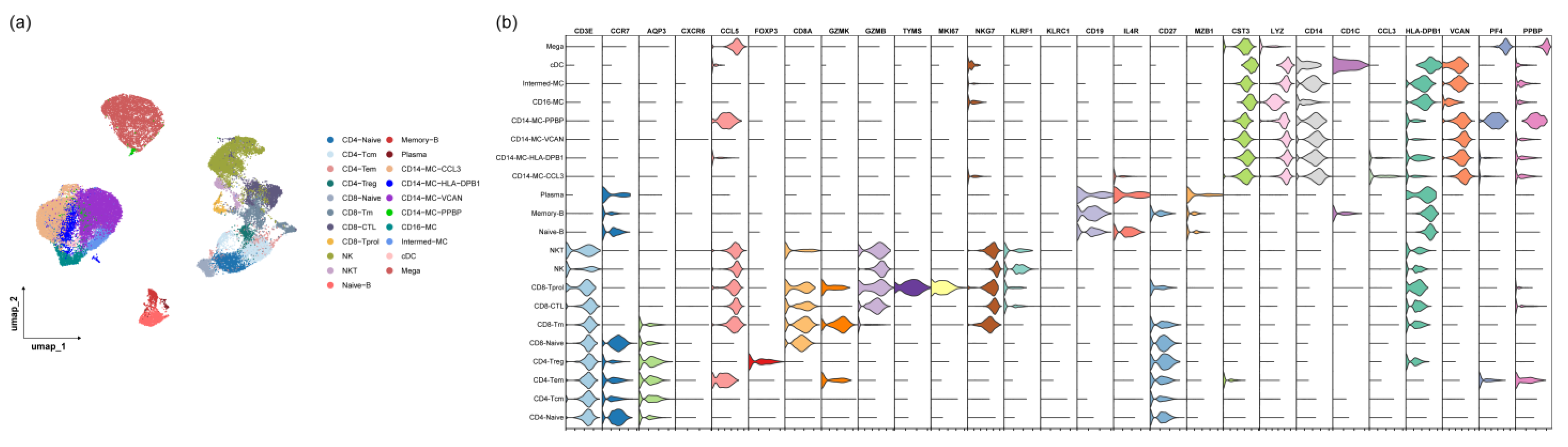 Biomedicines 12 01140 g0a1