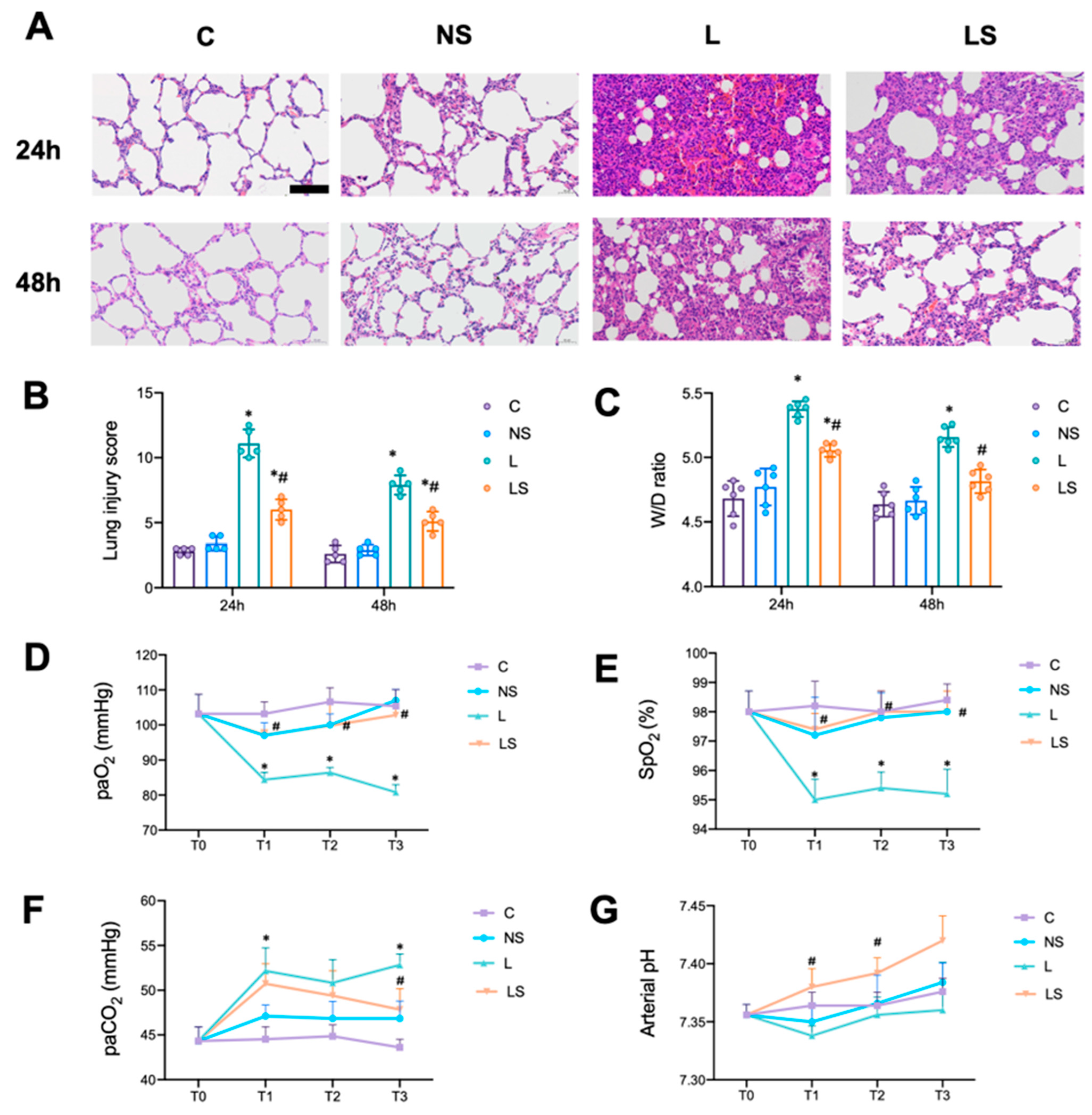 Biomedicines 12 01148 g002