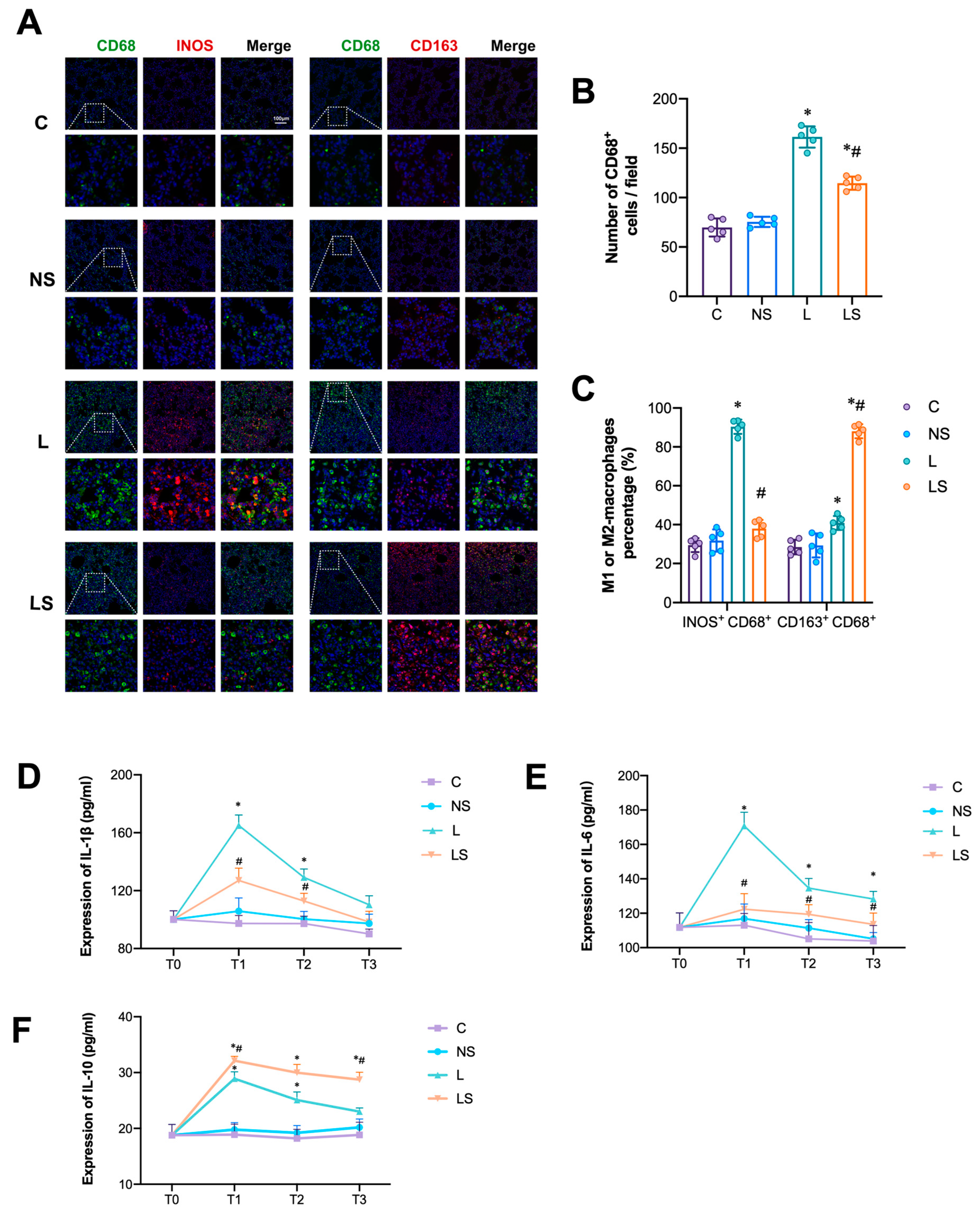 Biomedicines 12 01148 g004