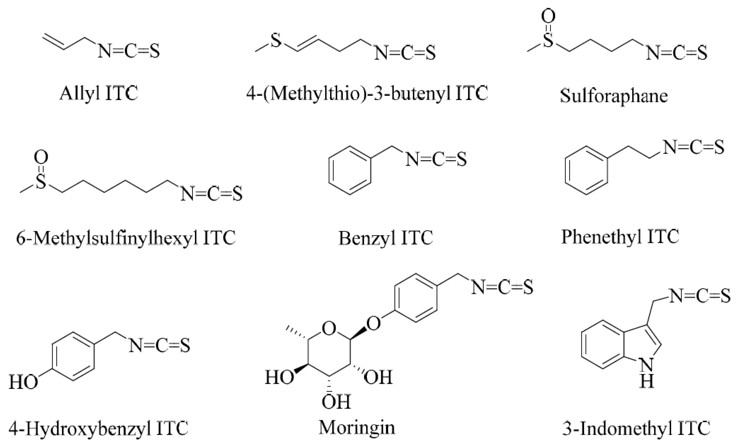 Biomedicines 12 01169 g001