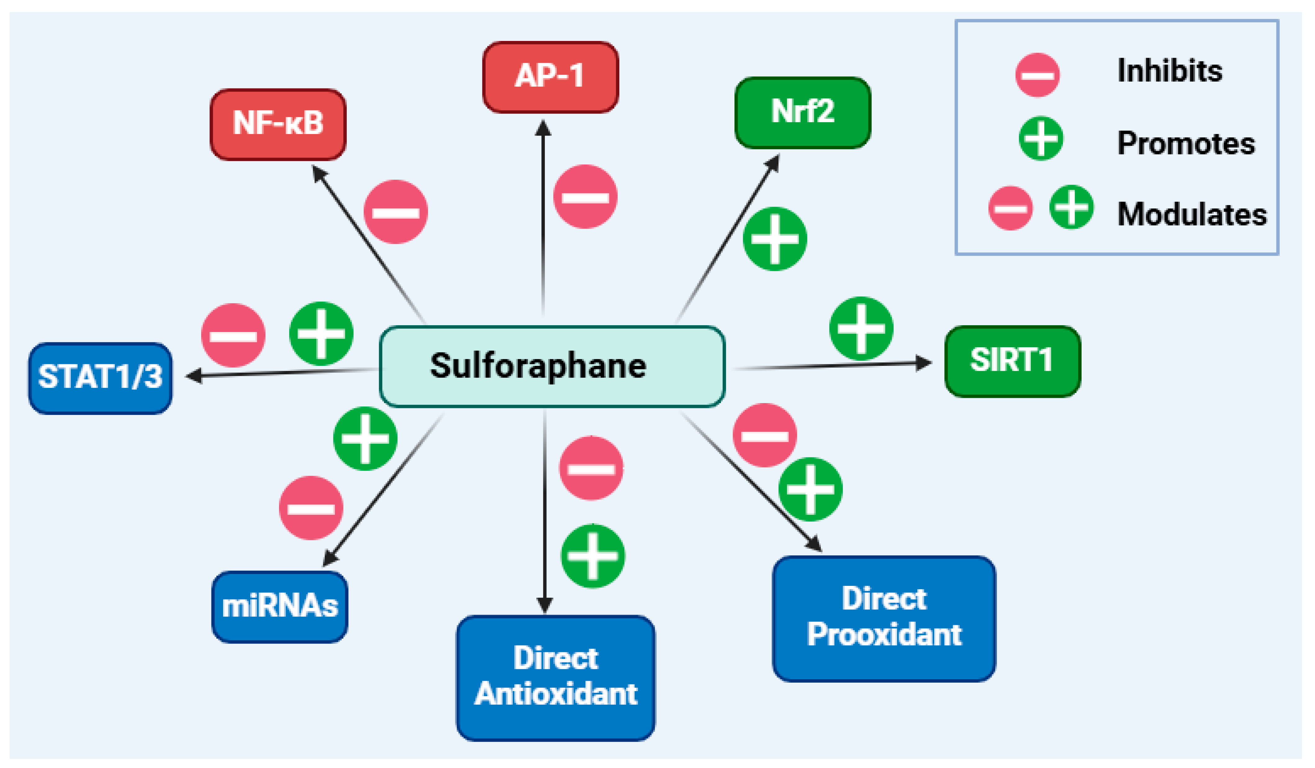Biomedicines 12 01169 g009