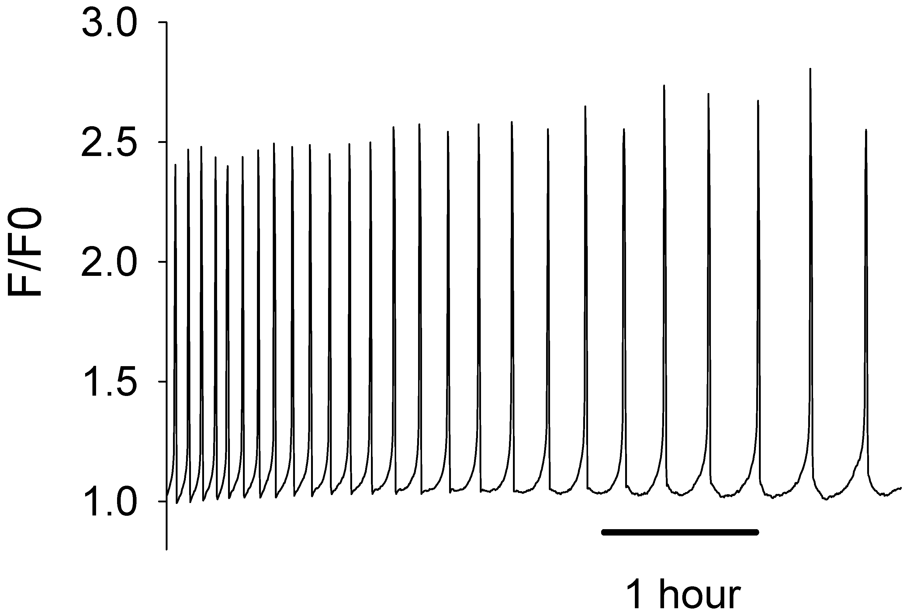 Biomedicines 12 01183 g001 Biomedicines 12 01183 g001
