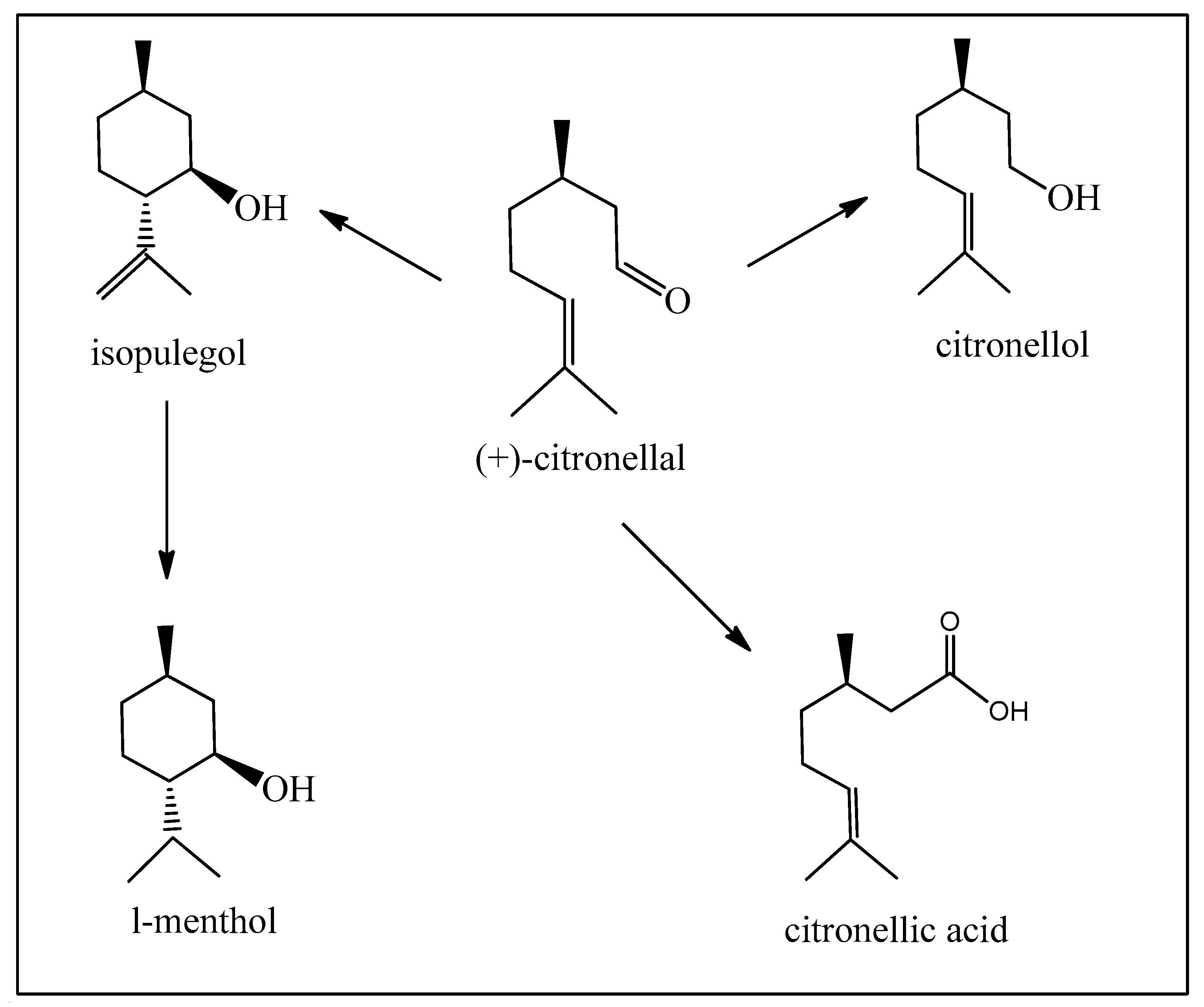 Biomedicines 12 01185 g008