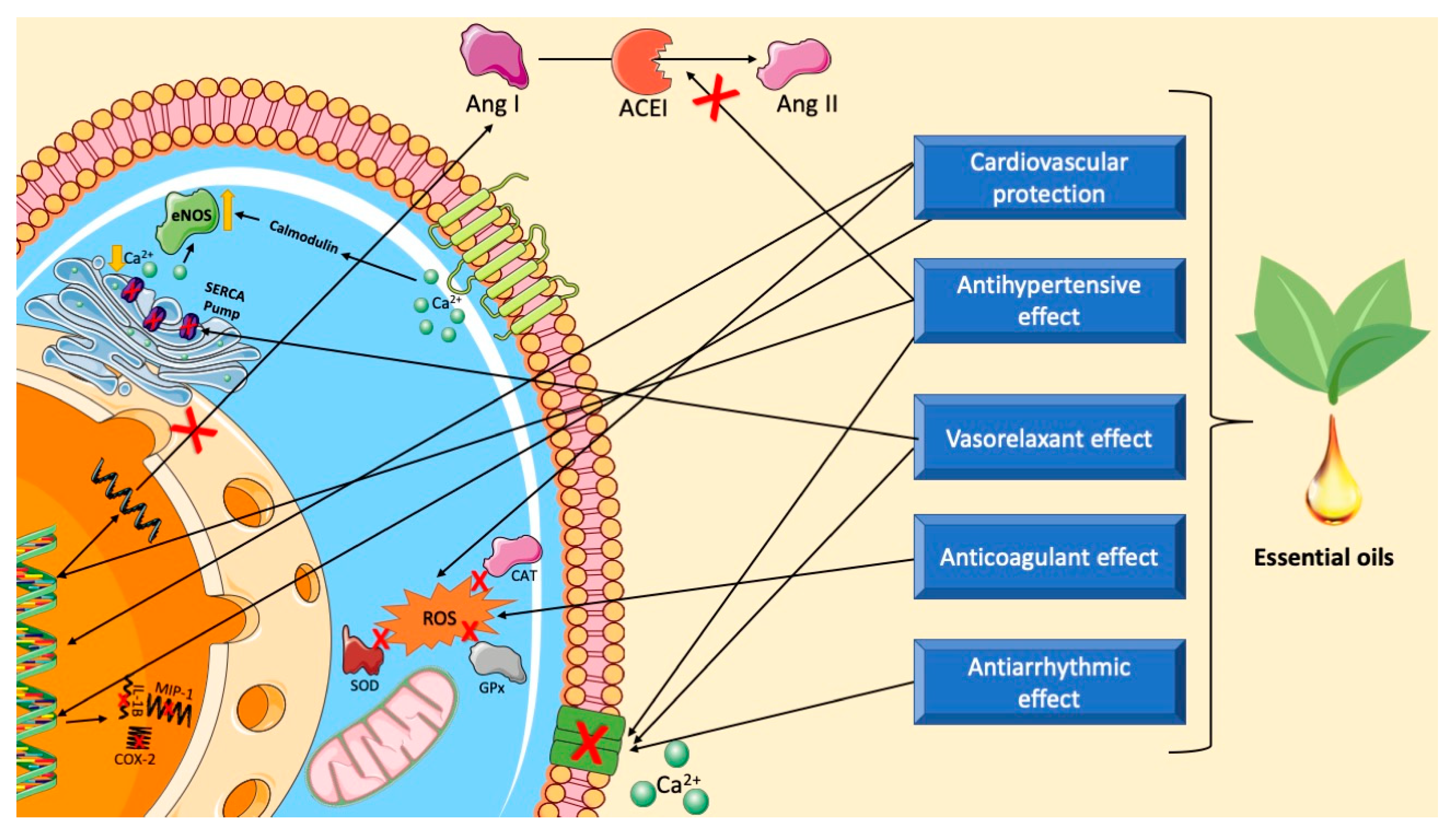 Biomedicines 12 01185 g014