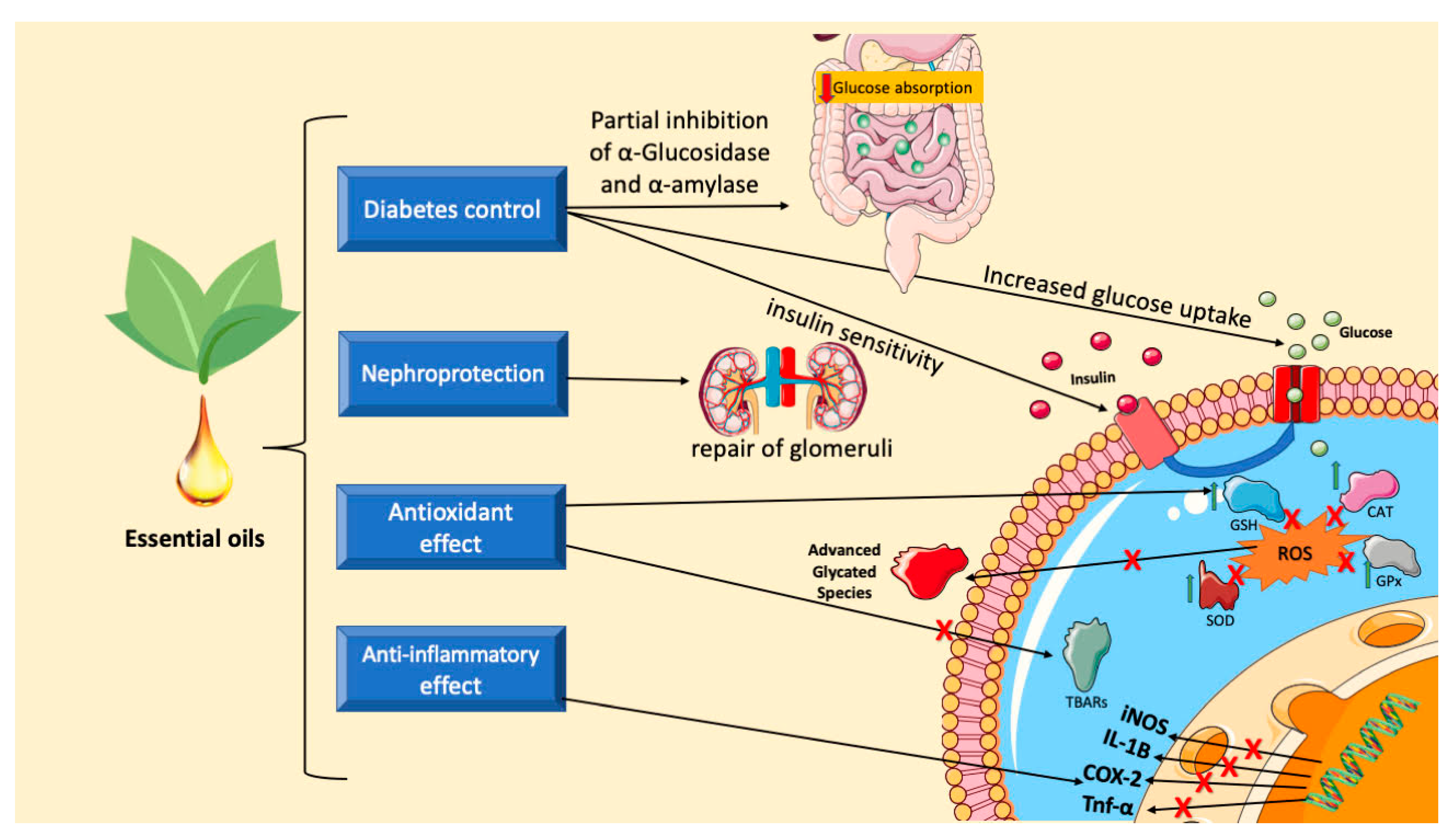 Biomedicines 12 01185 g015
