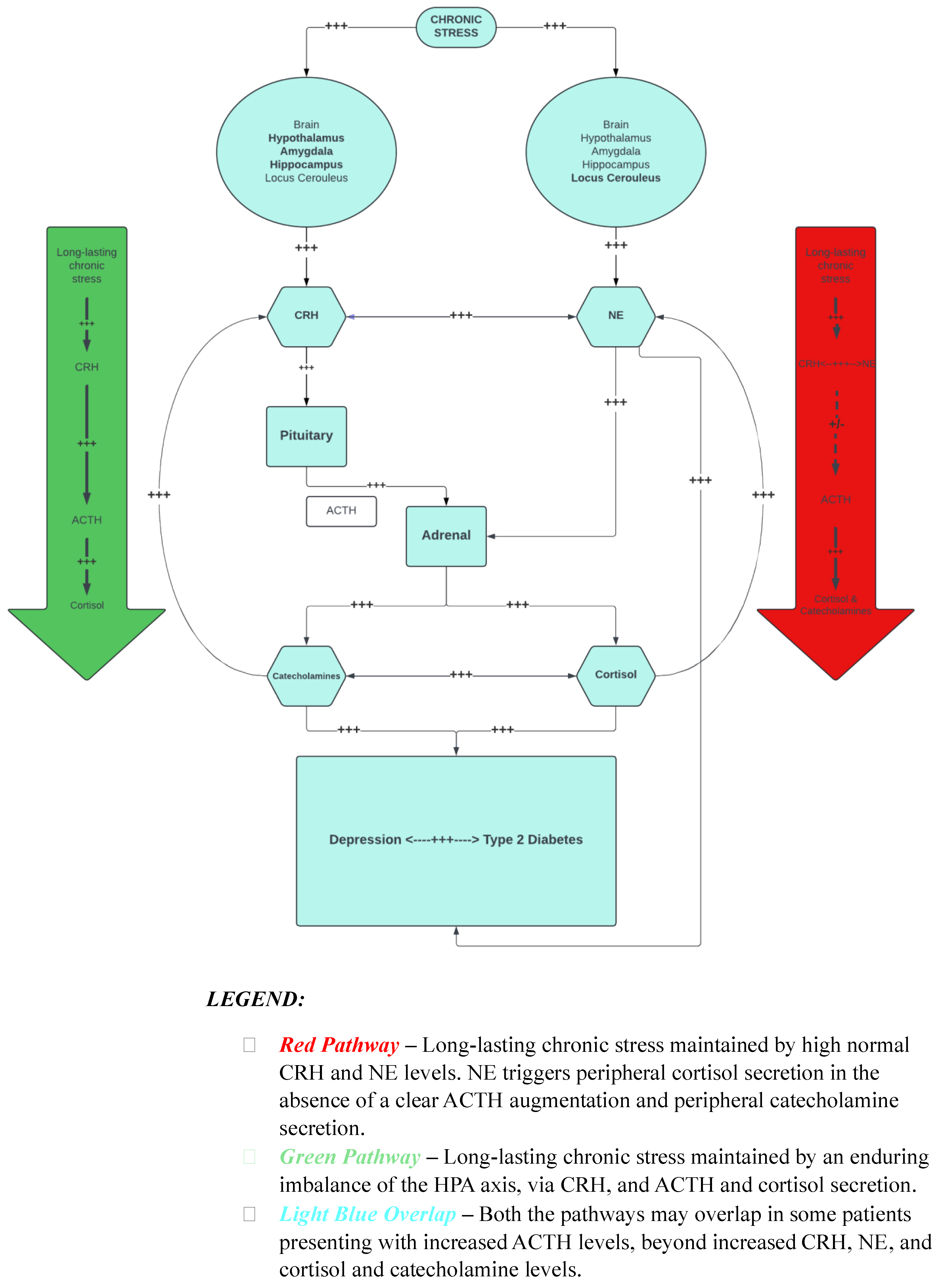 Biomedicines 12 01187 g001