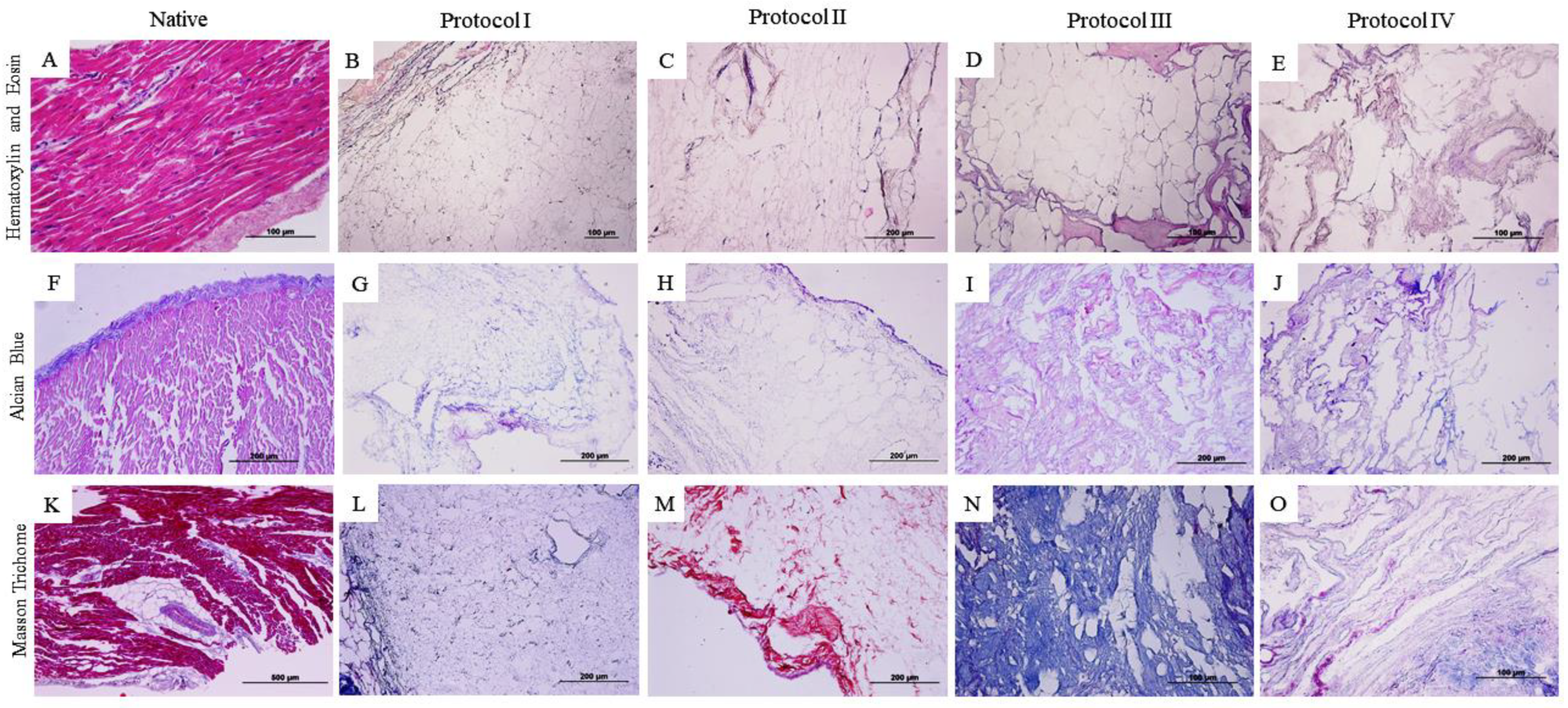 Biomedicines 12 01190 g003