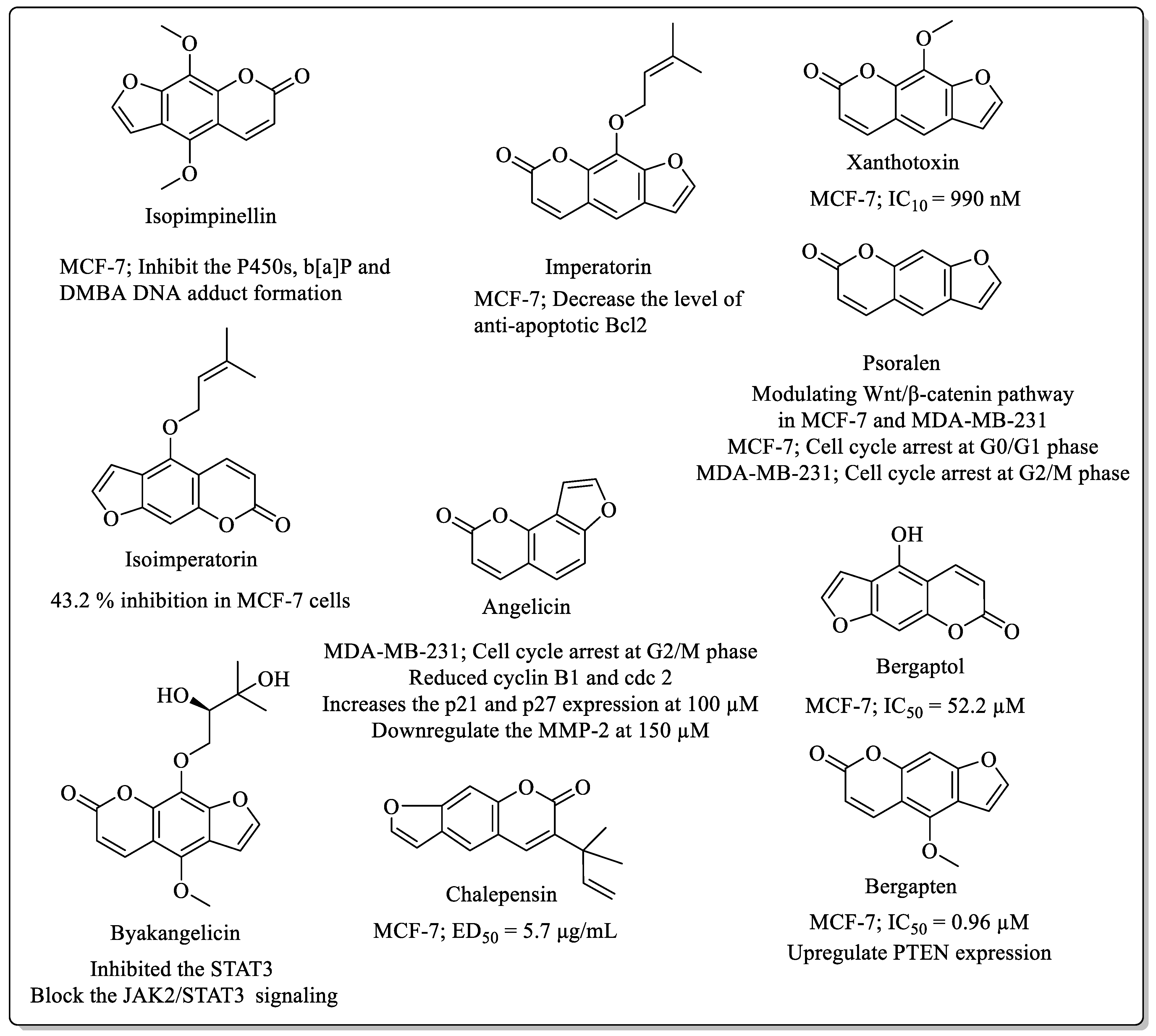 Biomedicines 12 01192 g002